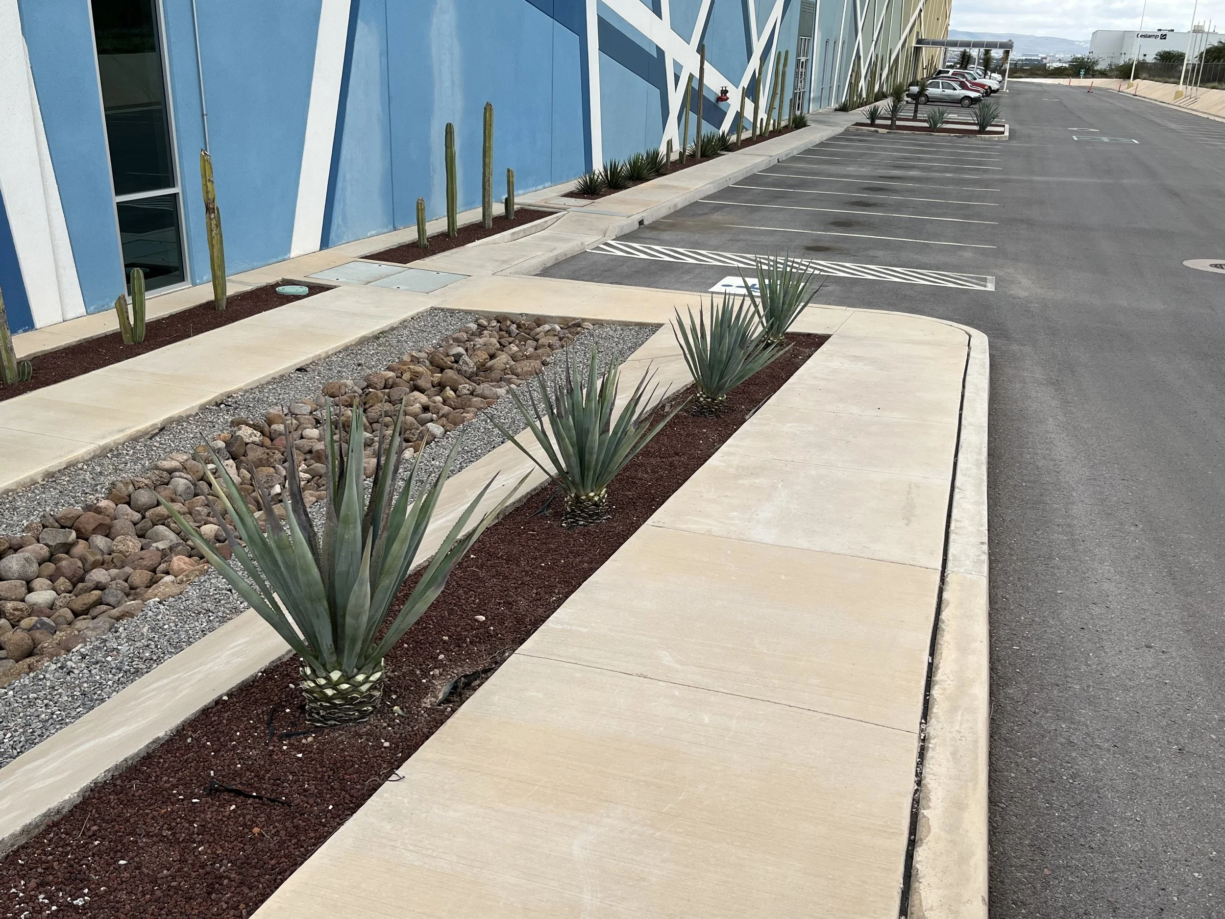 Estacionamiento vacío en el exterior de un edificio moderno con decoración de plantas suculentas y cactus, en un día nublado.