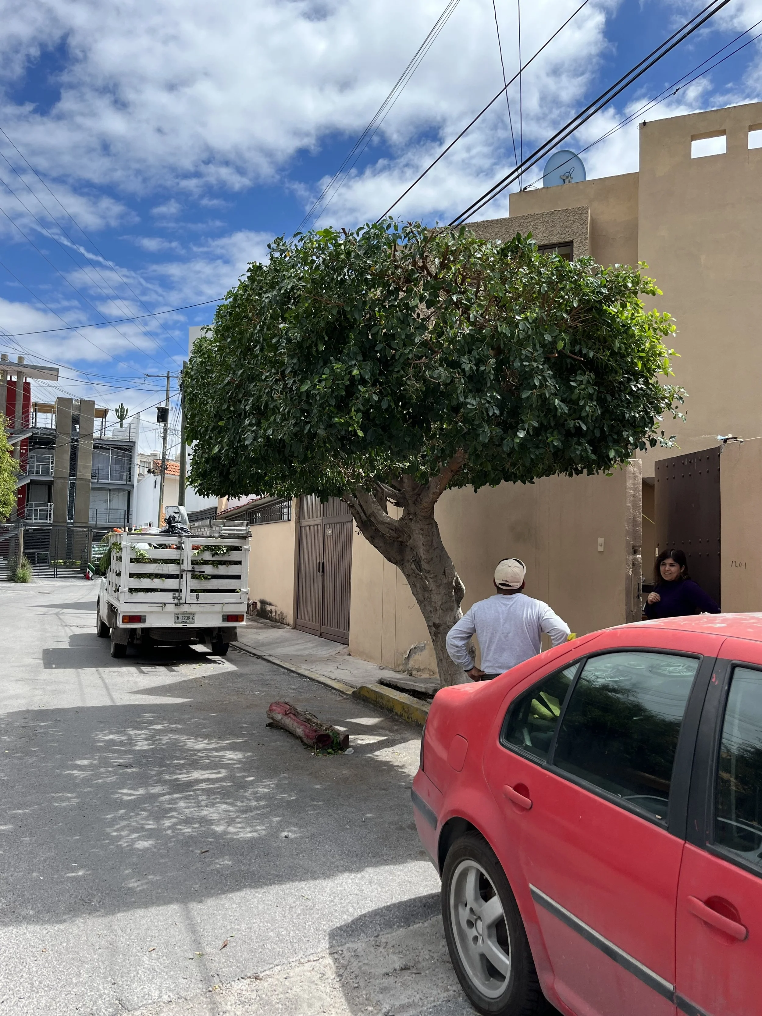 Vista de una calle con un árbol grande y frondoso, un coche rojo en primer plano, un camión estacionado y dos personas conversando junto a una pared de edificio en el fondo; cielo azul con nubes.