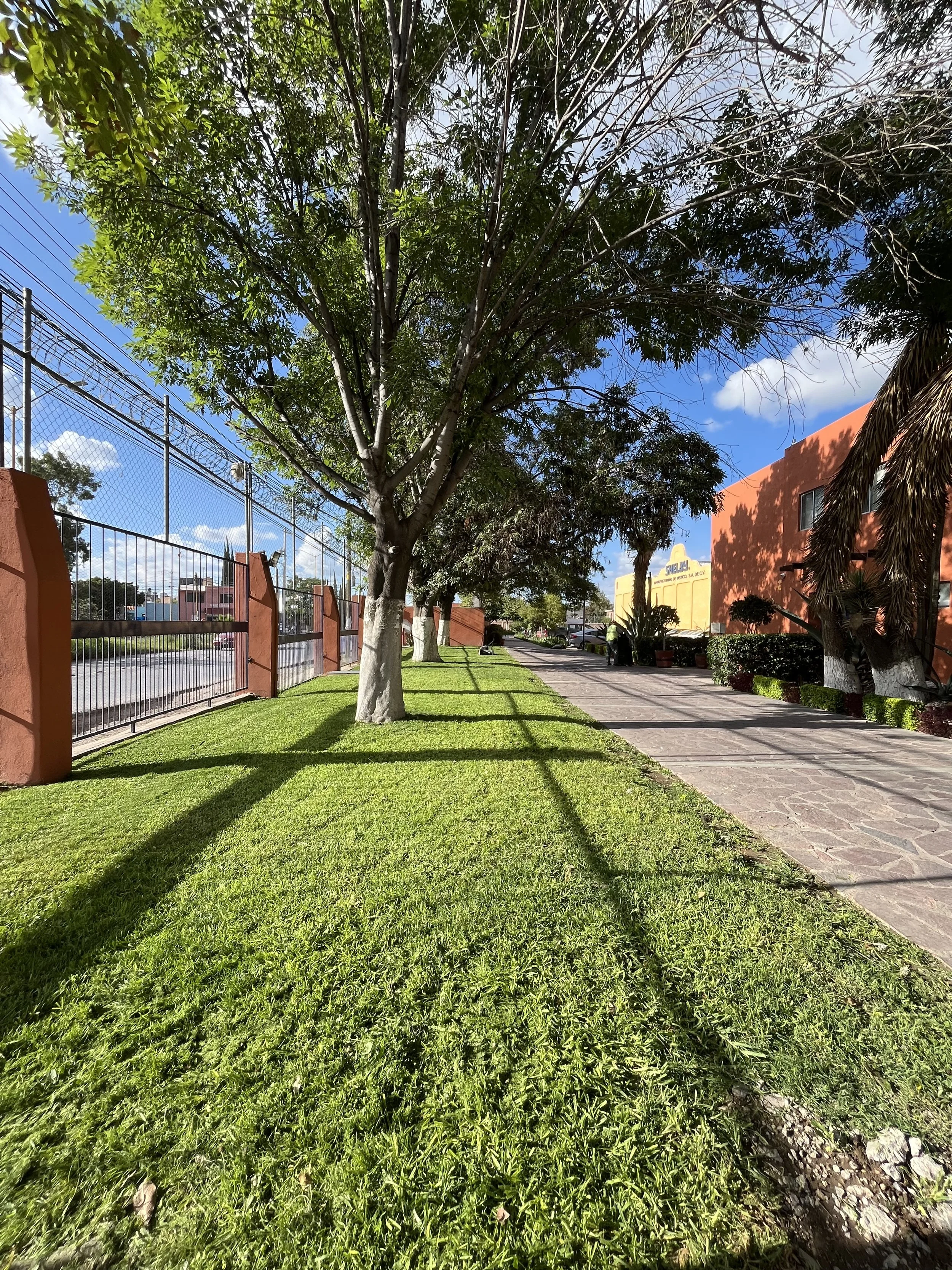 Camino de piedra, áreas verdes con árboles, y edificios en el fondo, en un día soleado con cielo azul y pocas nubes.