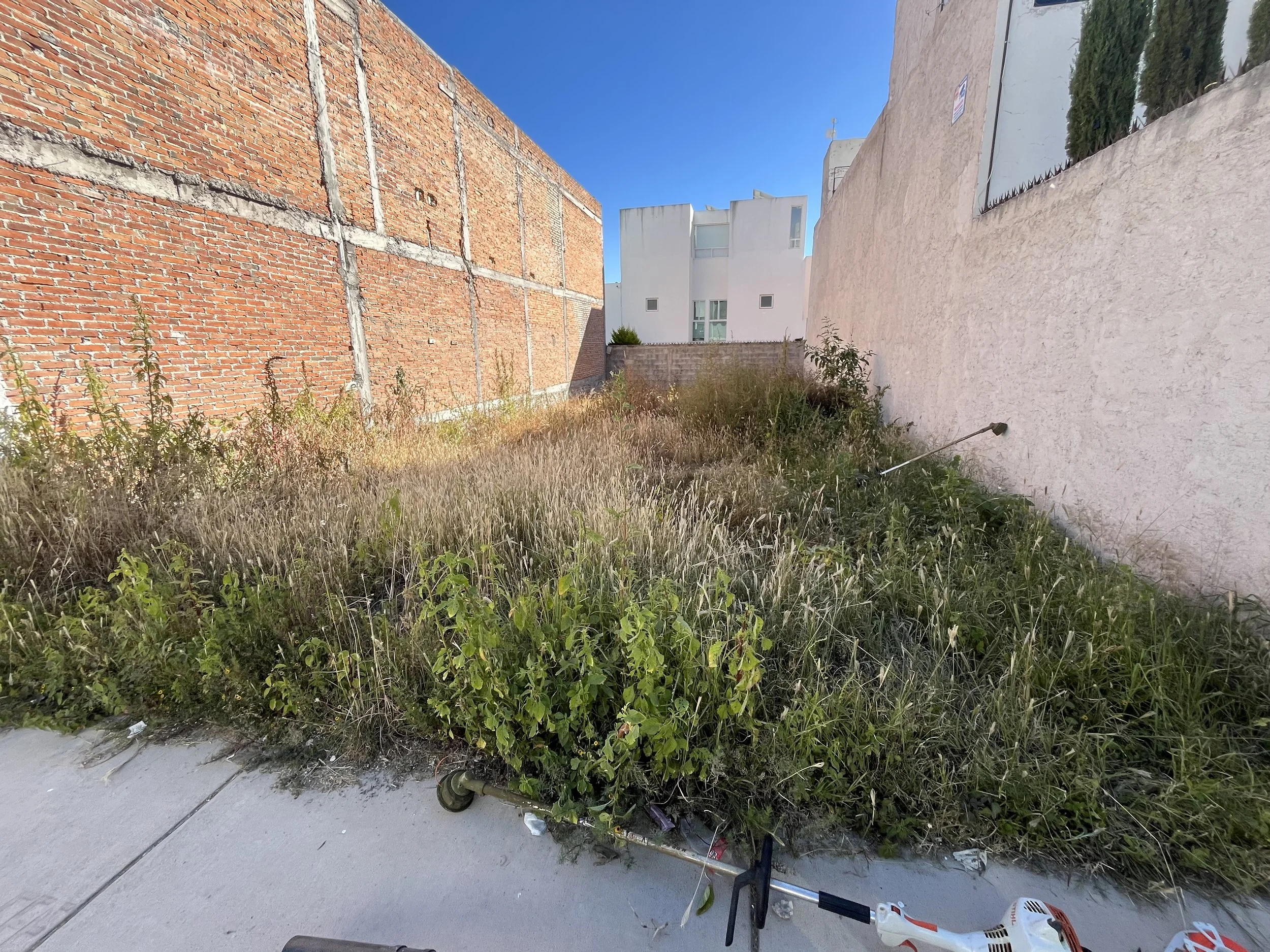 Lote vacío y descuidado con hierba alta y plantas crecidas, rodeado por muros de ladrillo y cemento, en un día soleado con cielo azul.