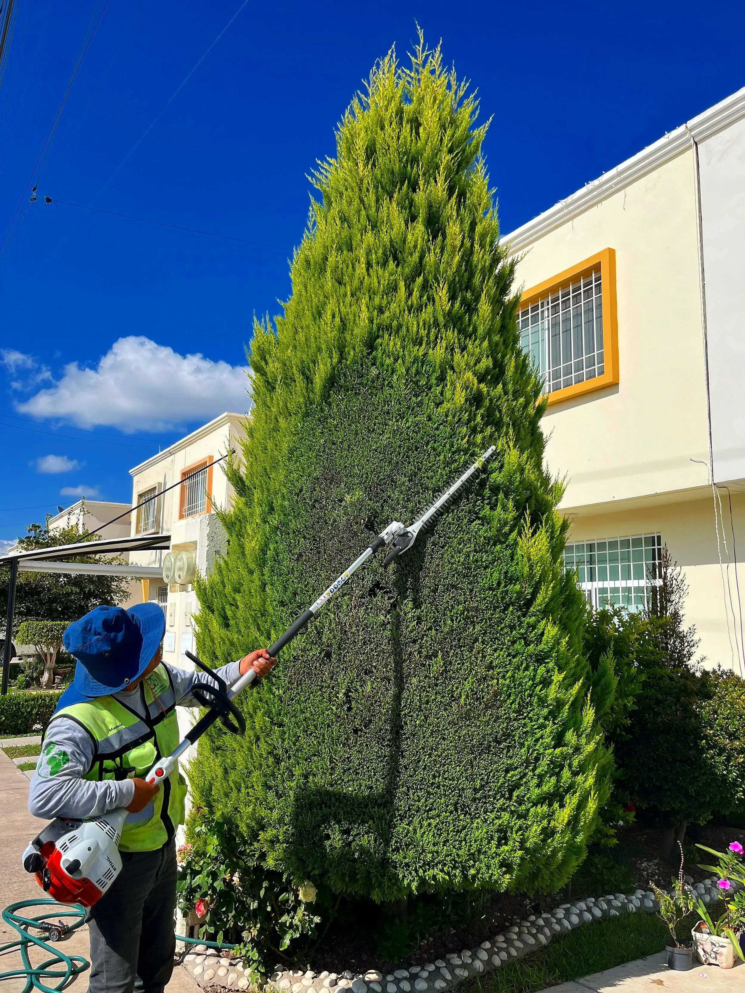 Persona podando un arbusto alto con equipo de protección en un día soleado frente a una casa.