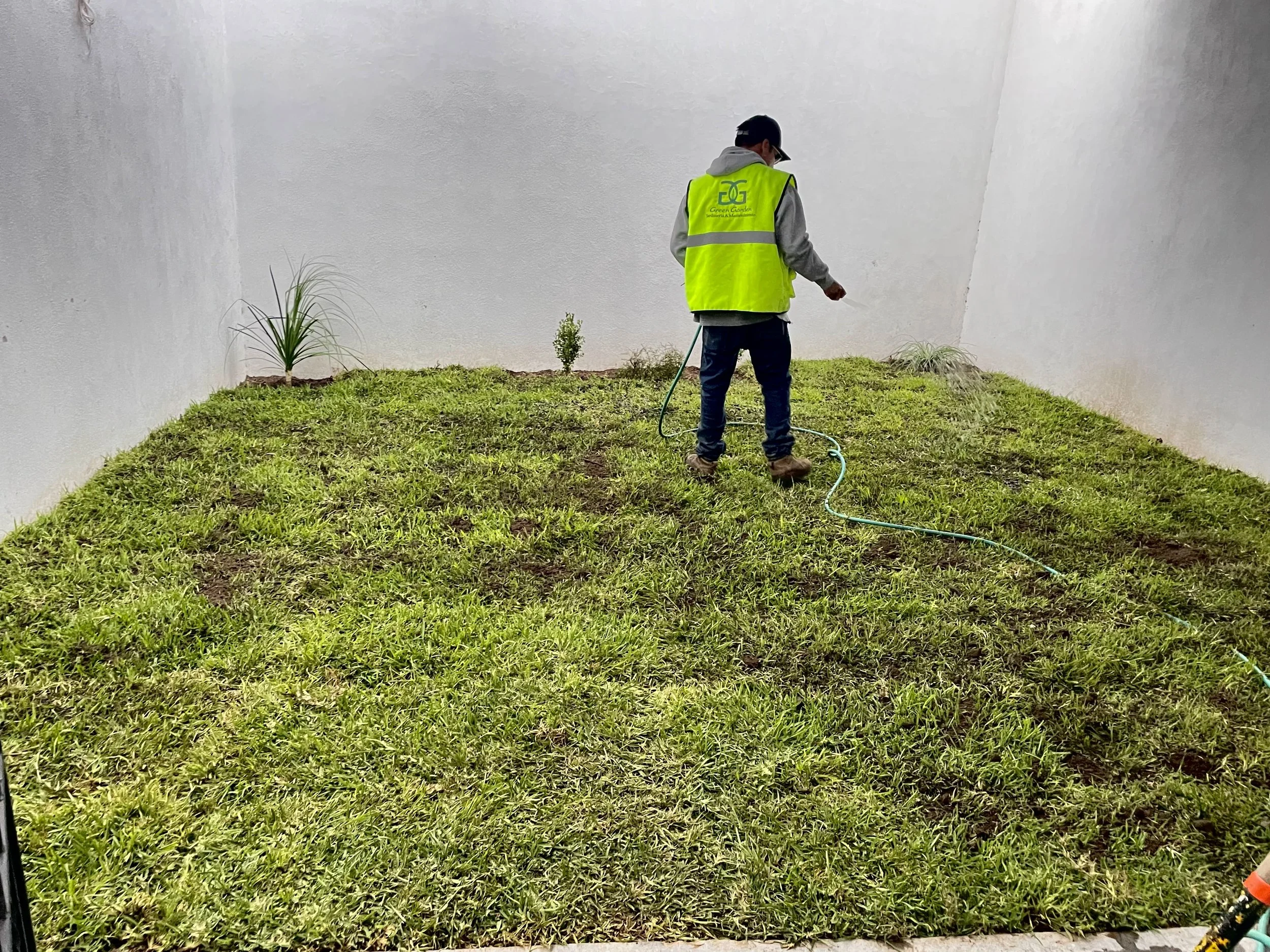 Persona rociando plantas en un pequeño jardín con una manguera, dentro de un espacio cerrado con paredes blancas.