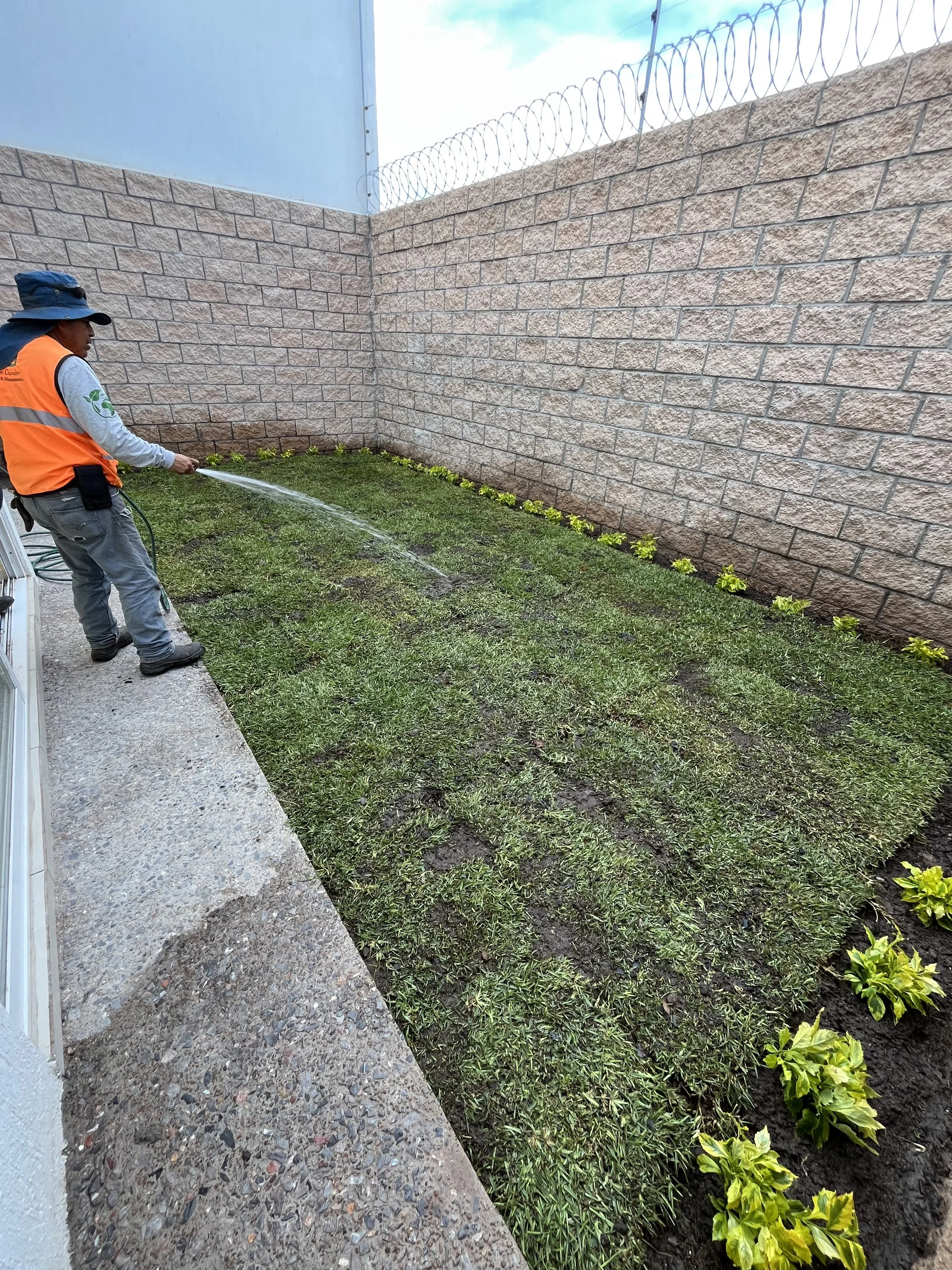 Persona rociando agua en un jardín con pared de ladrillos y plantas verdes.