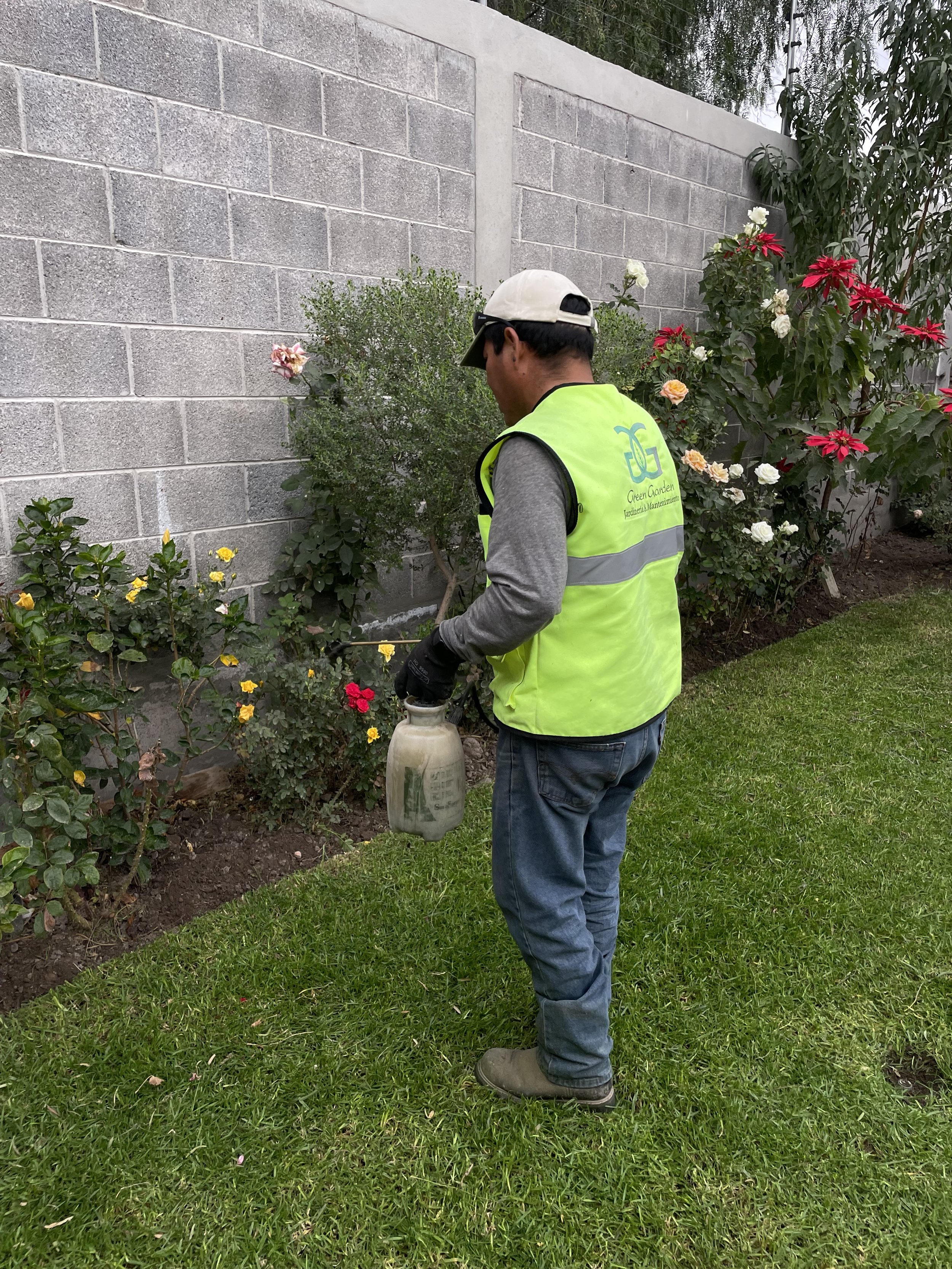 Hombre con chaleco de jardinería rociando plantas en un jardín con flores, cerca de una pared de bloques de cemento.