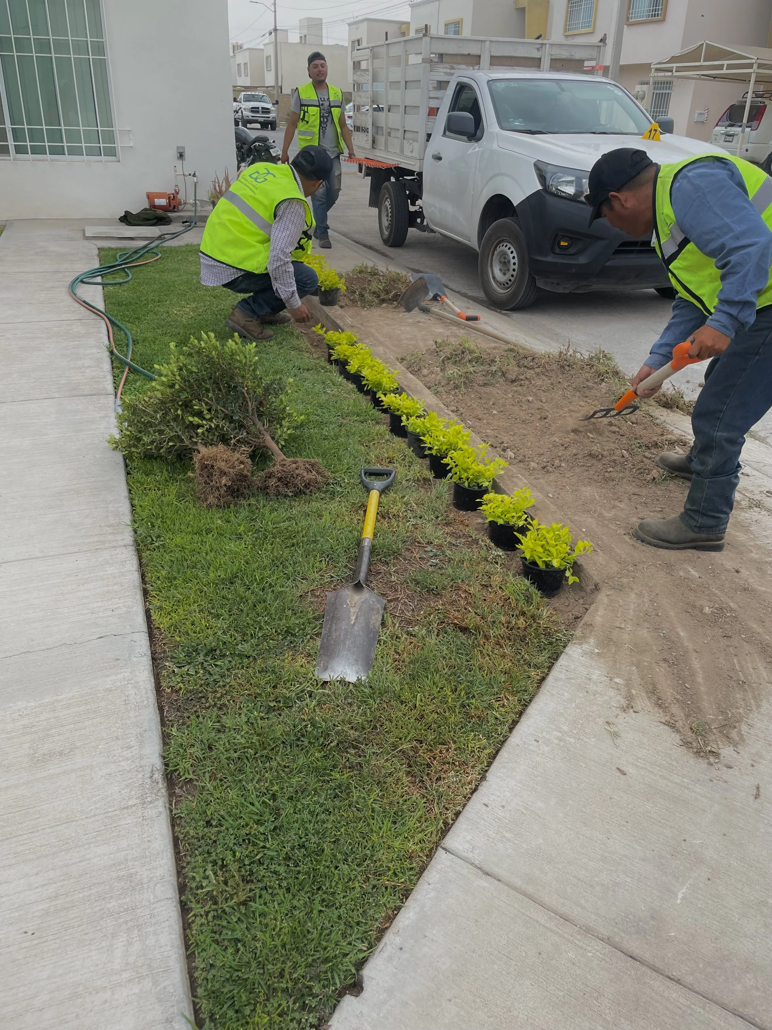 Tres personas plantando y cuidando plantas en un jardín urbano en la acera, todas llevan chalecos reflectantes. Hay herramientas y un camión de carga en la calle detrás.