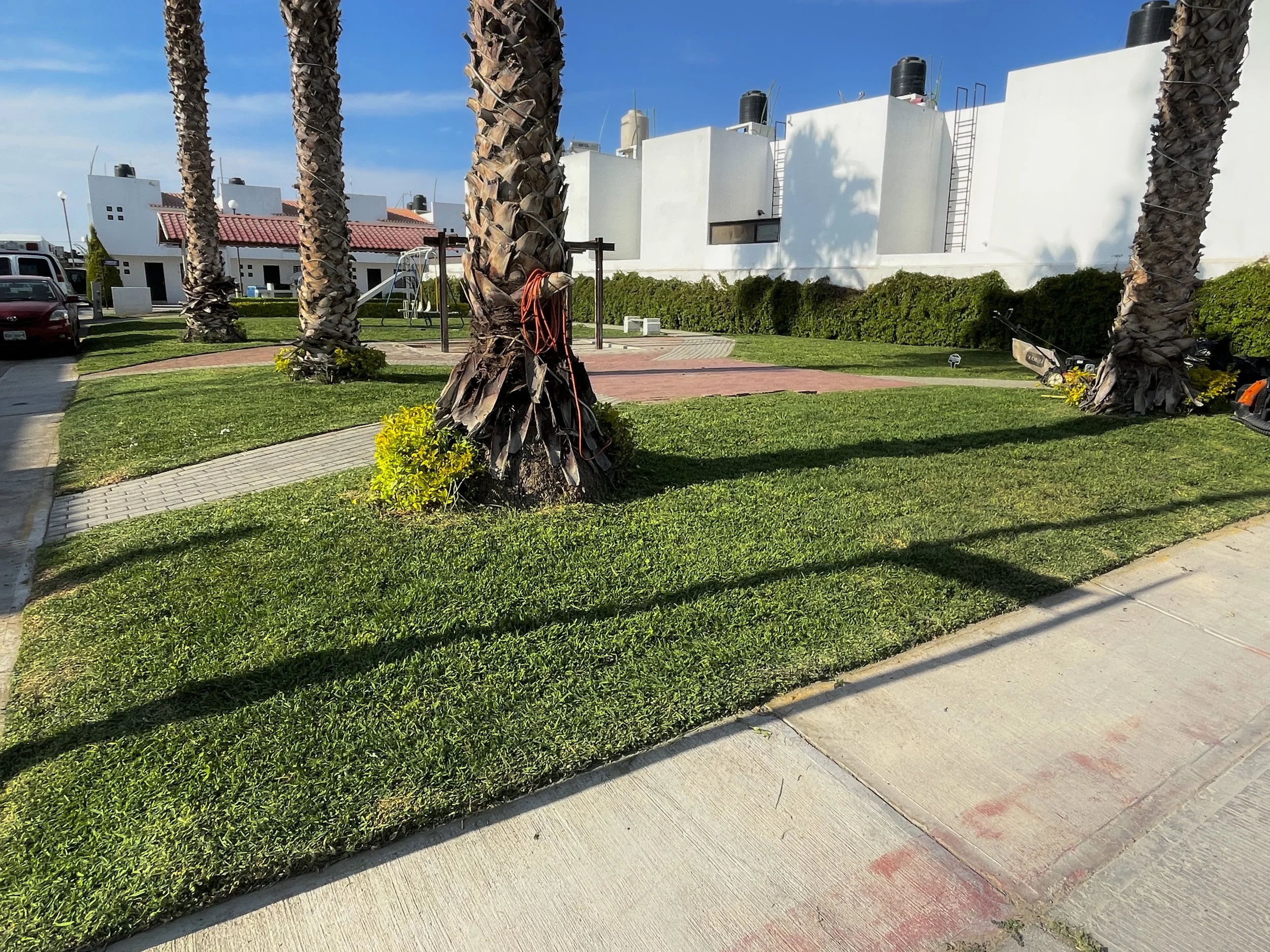 Área de jardín con césped, caminos pavimentados y palmeras en un vecindario. En el fondo se ven casas blancas con techos rojos y áreas de juego.
