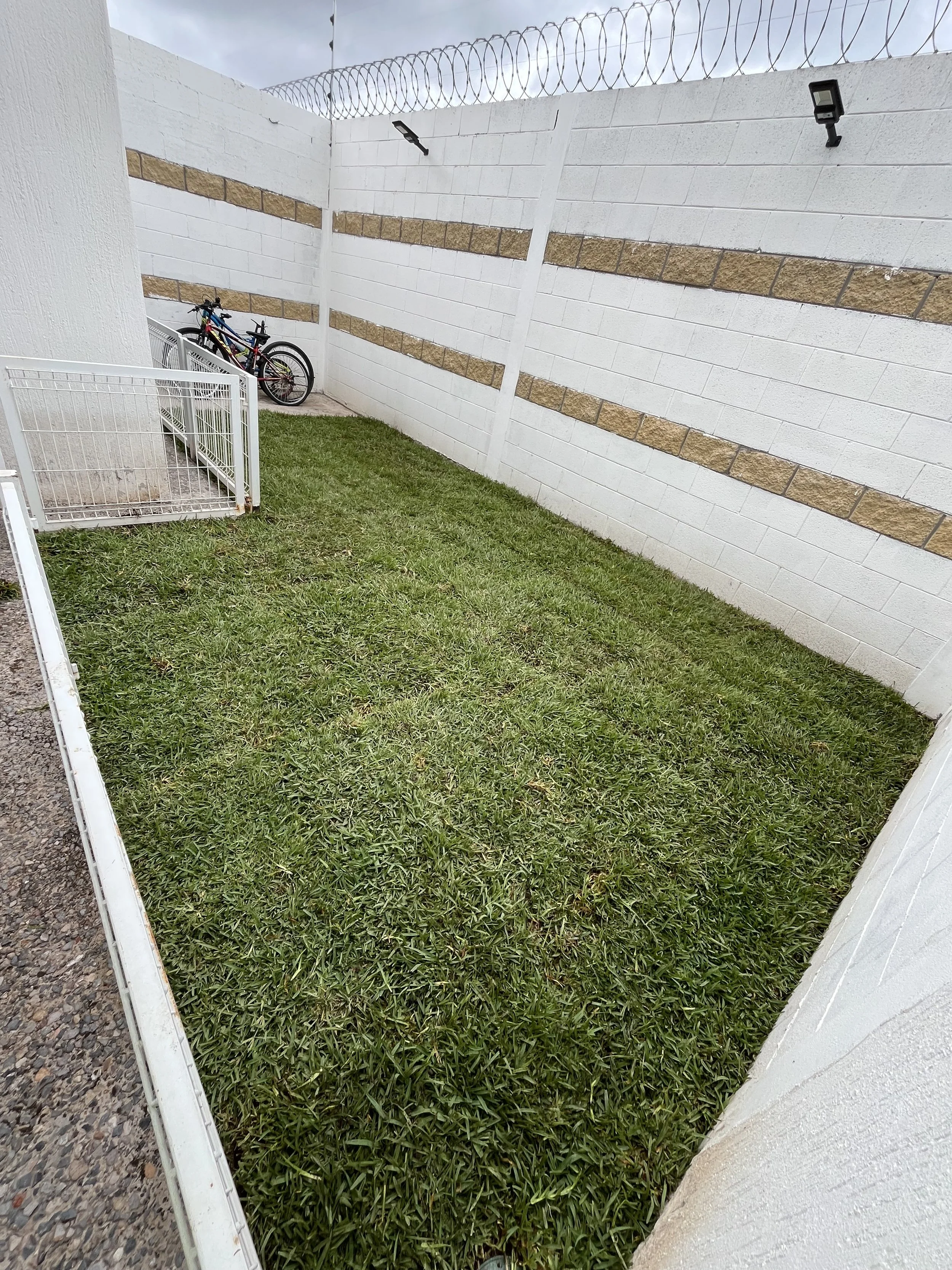 Un pequeño patio con césped, rodeado de paredes blancas con franjas de ladrillos y un cerco de alambre en la parte superior. Hay una bicicleta recargada en la esquina, cerca de una puerta metálica blanca. Un par de luces de pared están instaladas en 