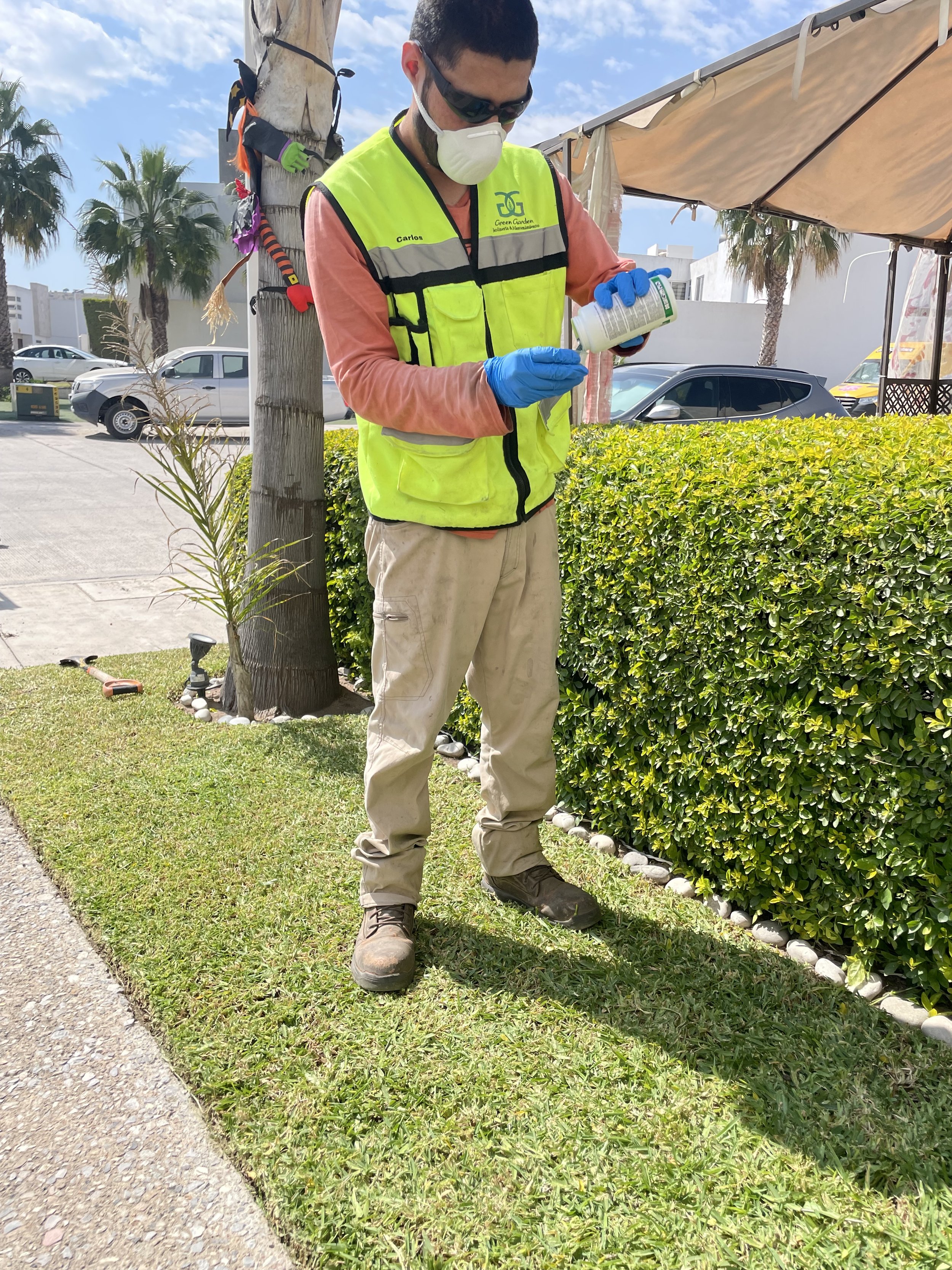 Empleado con gafas de sol, mascarilla y guantes azules aplicando productos en un área verde con arbusto, cerca de un árbol y un toldo en un espacio al aire libre.