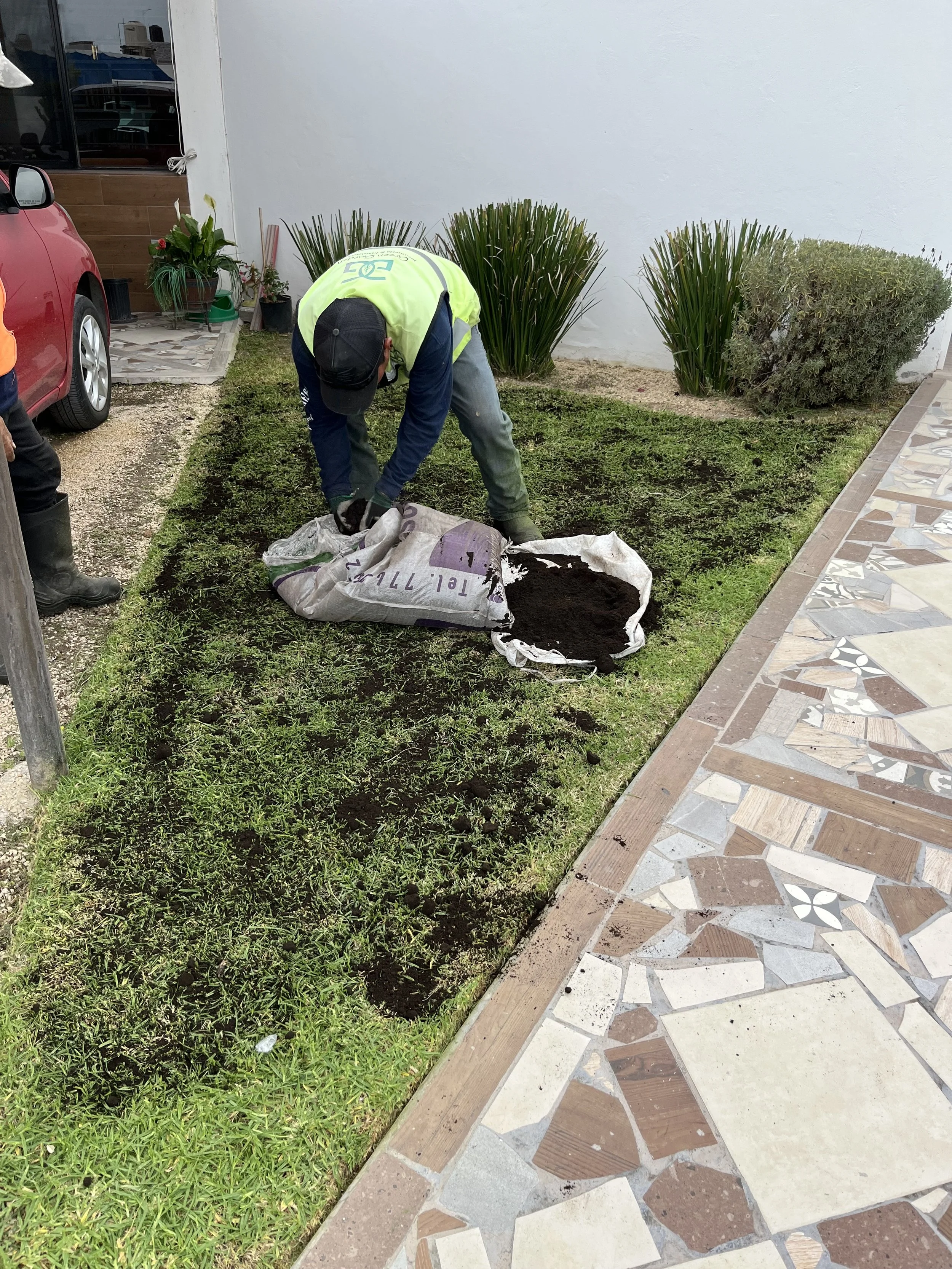Persona colocando tierra en un borde de césped, junto a plantas y una acera de mosaicos, en un patio o jardín.