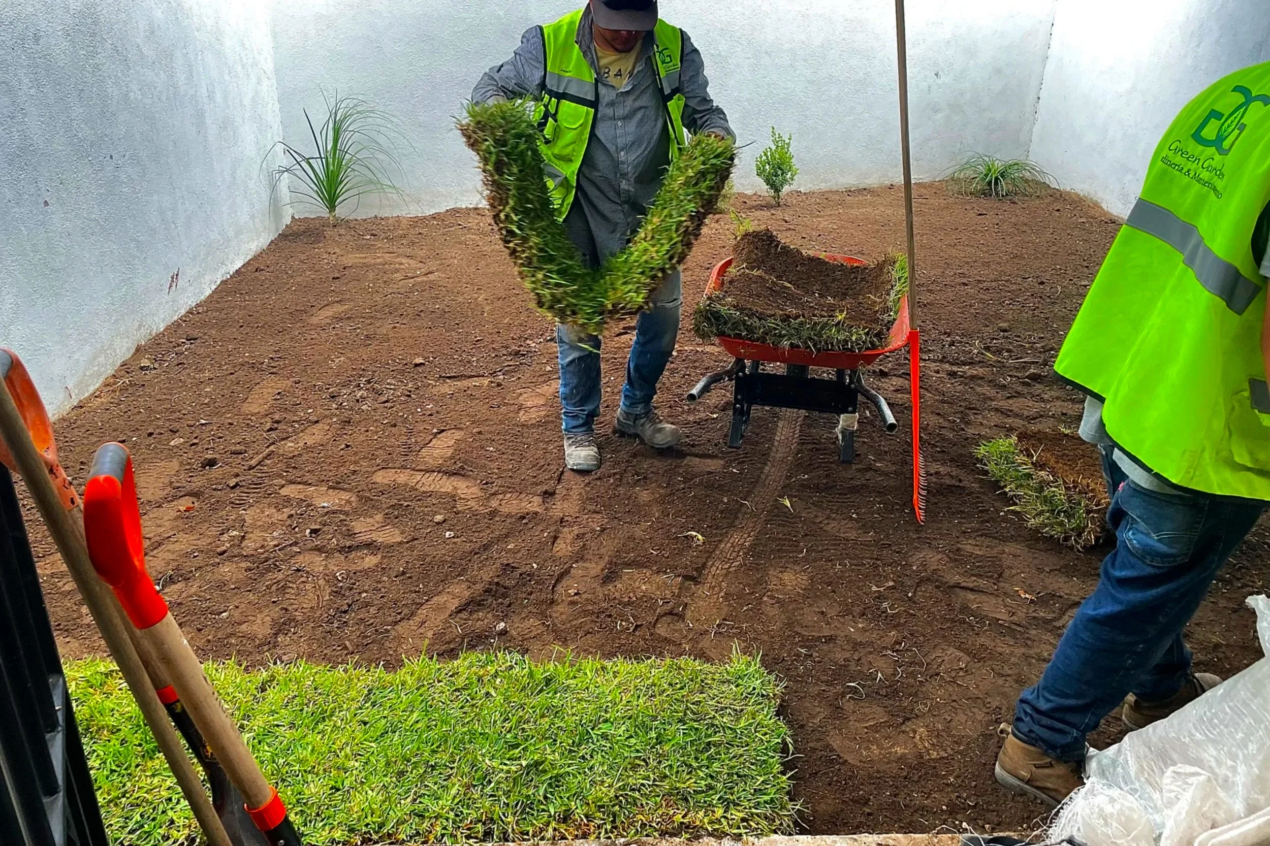 Dos trabajadores plantando césped en una jardinera con tierra, uno de ellos sostiene un pedazo de césped y el otro ayuda con la tierra.