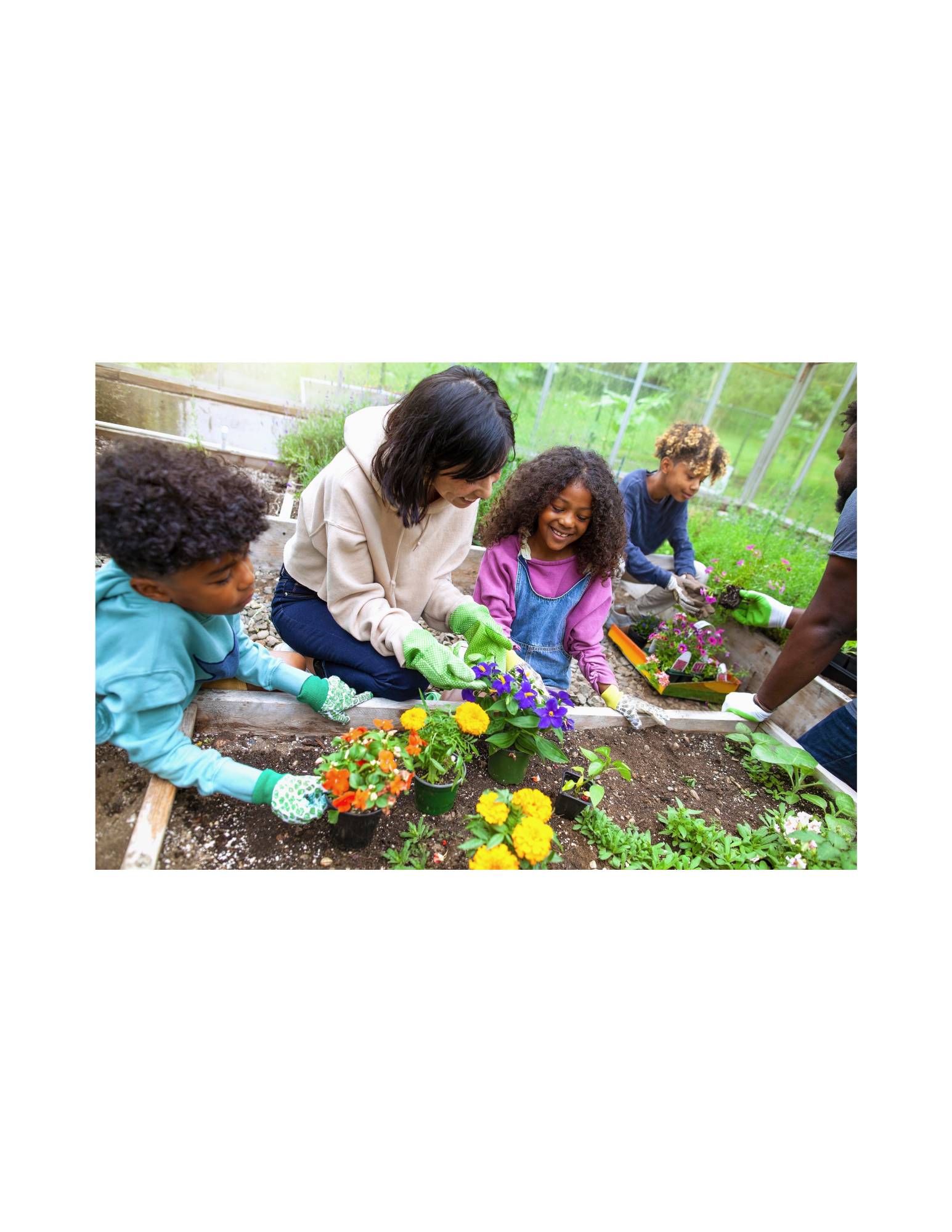 🌱 Rooted: Plant Science Foundations - June 8