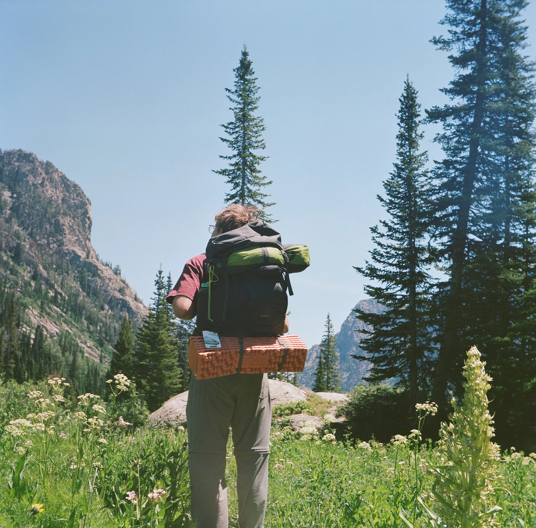 Person with a large backpack and sleeping pad hiking through a scenic, forested mountain area with pine trees and rocky cliffs under a blue sky.