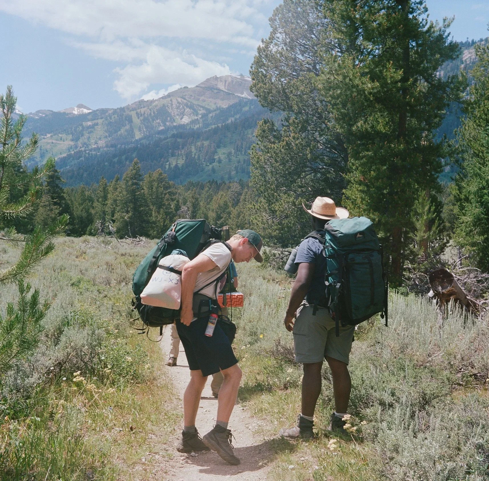 Two hikers with backpacks walking along a trail in a forested mountain landscape.