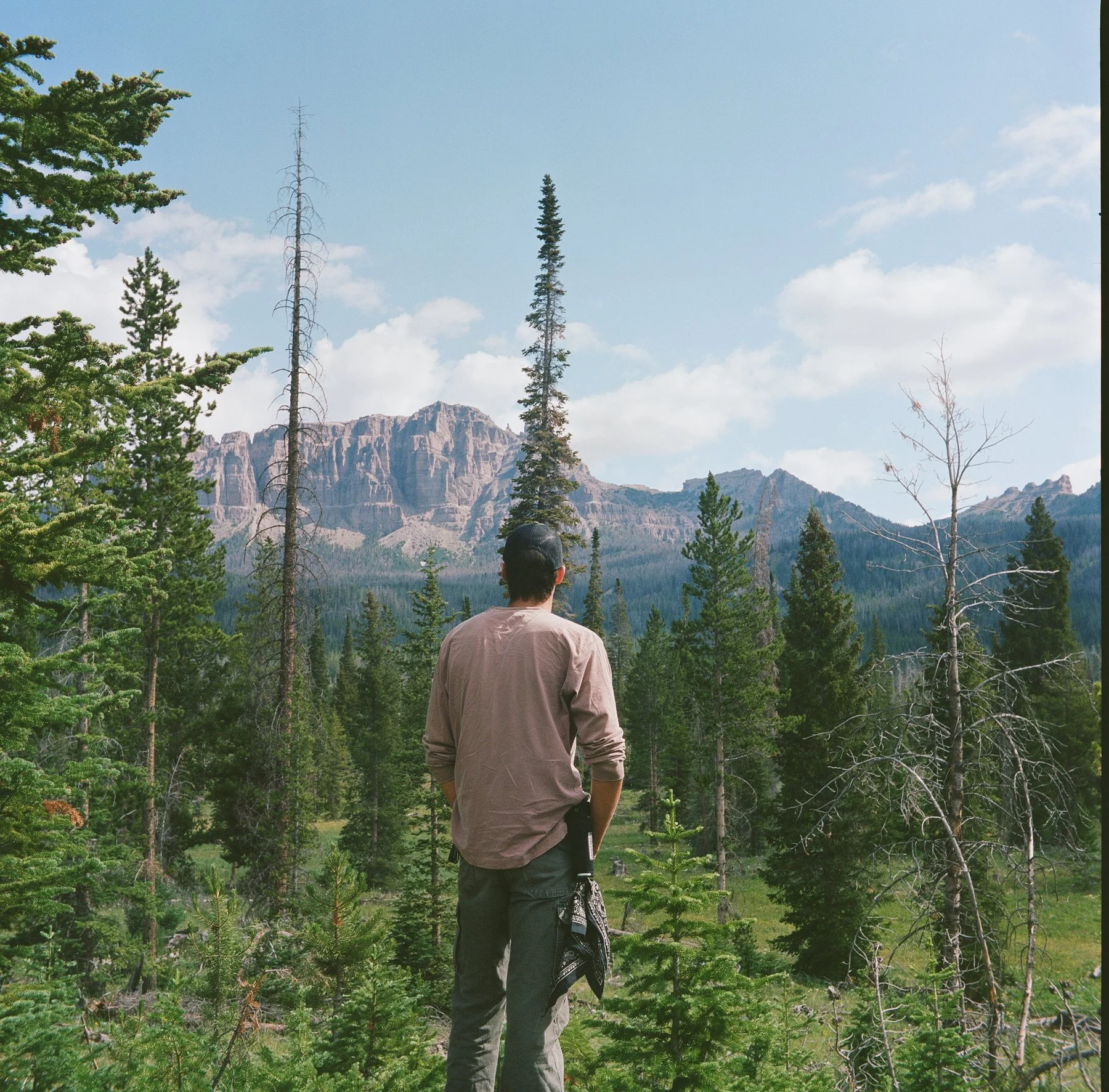 A person standing in a dense forest with tall pine trees, overlooking rugged mountain peaks under a partly cloudy sky.