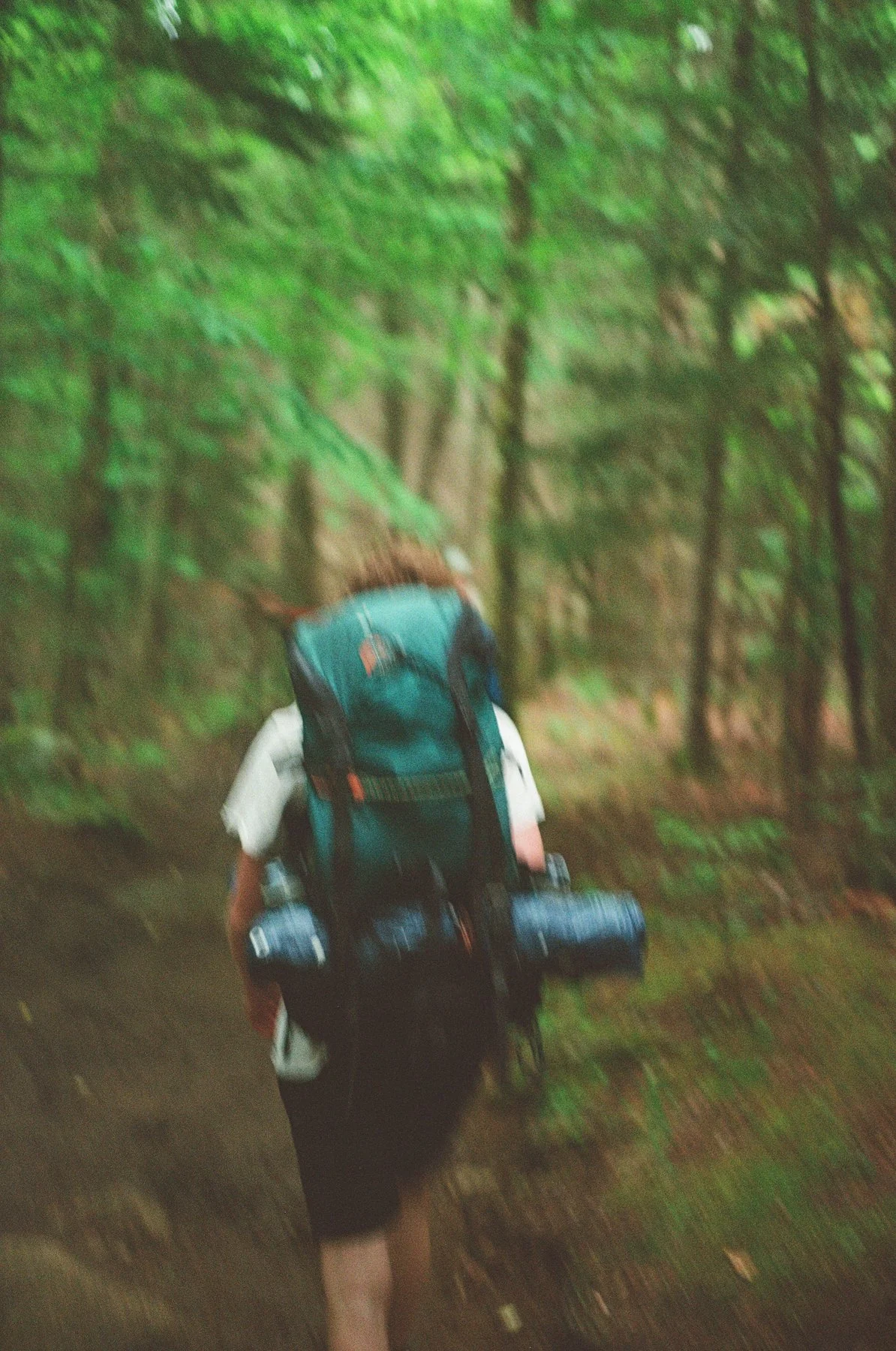 A person hiking on a trail through a forest, carrying a large backpack.