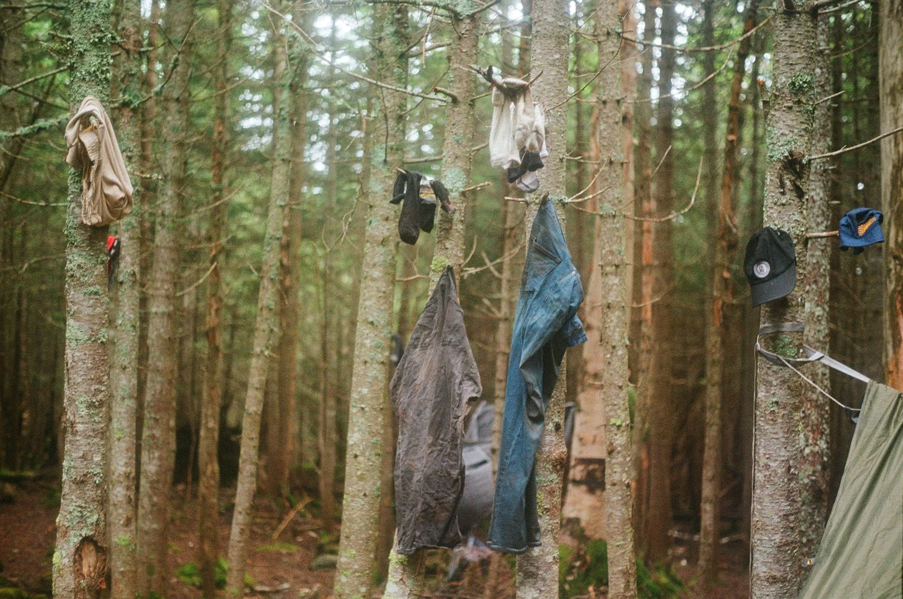 Clothes and hats hanging on tree branches in a forest.