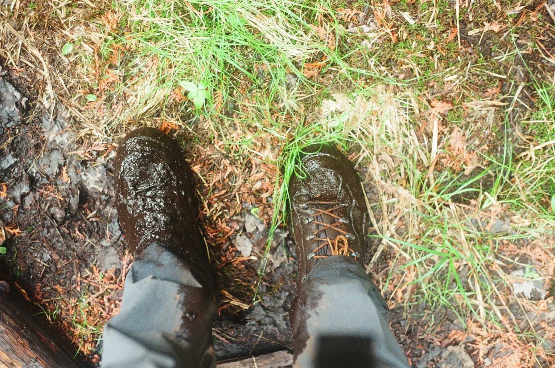 View of muddy hiking boots on a trail surrounded by grass and wet ground.