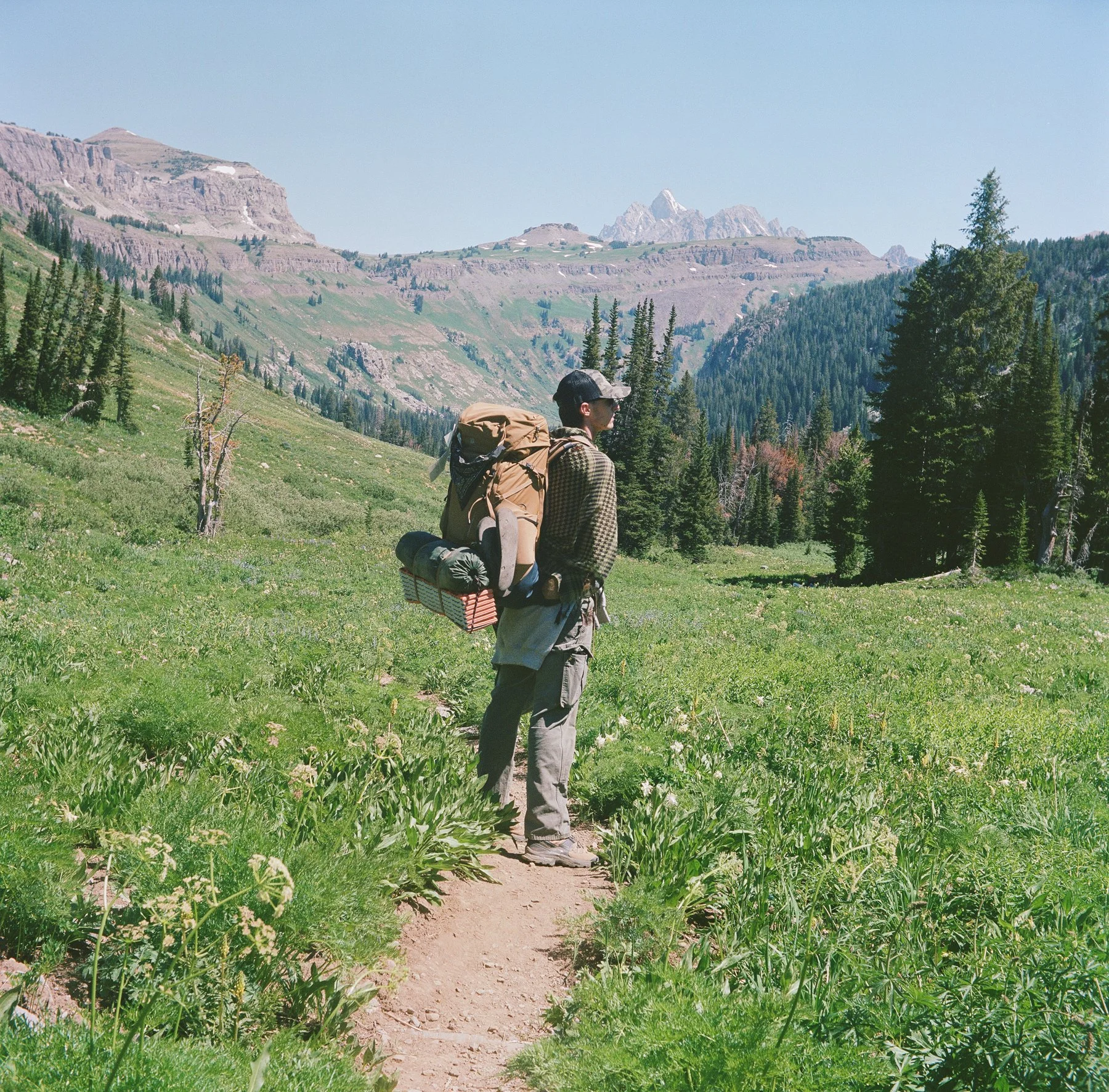 A man standing on a trail in a lush green mountain meadow with a large backpack, surrounded by tall pine trees and mountain peaks in the background under a clear blue sky.