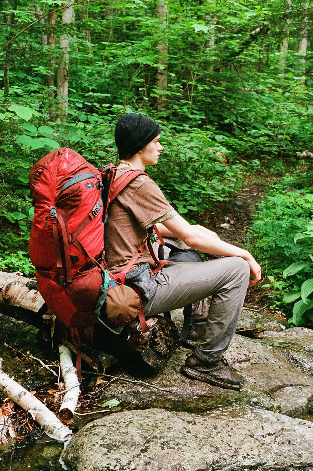 Person with a red backpack sitting on a log in a green forest.