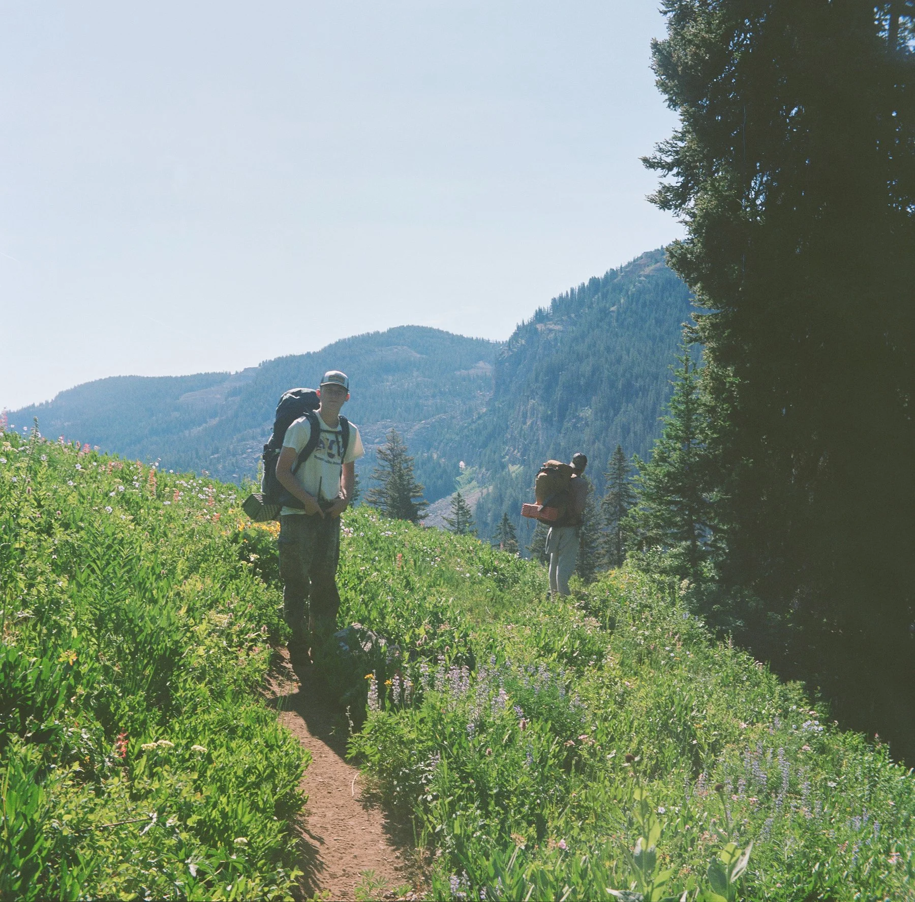 Two hikers with backpacks walking along a trail through a green meadow surrounded by trees and mountains.