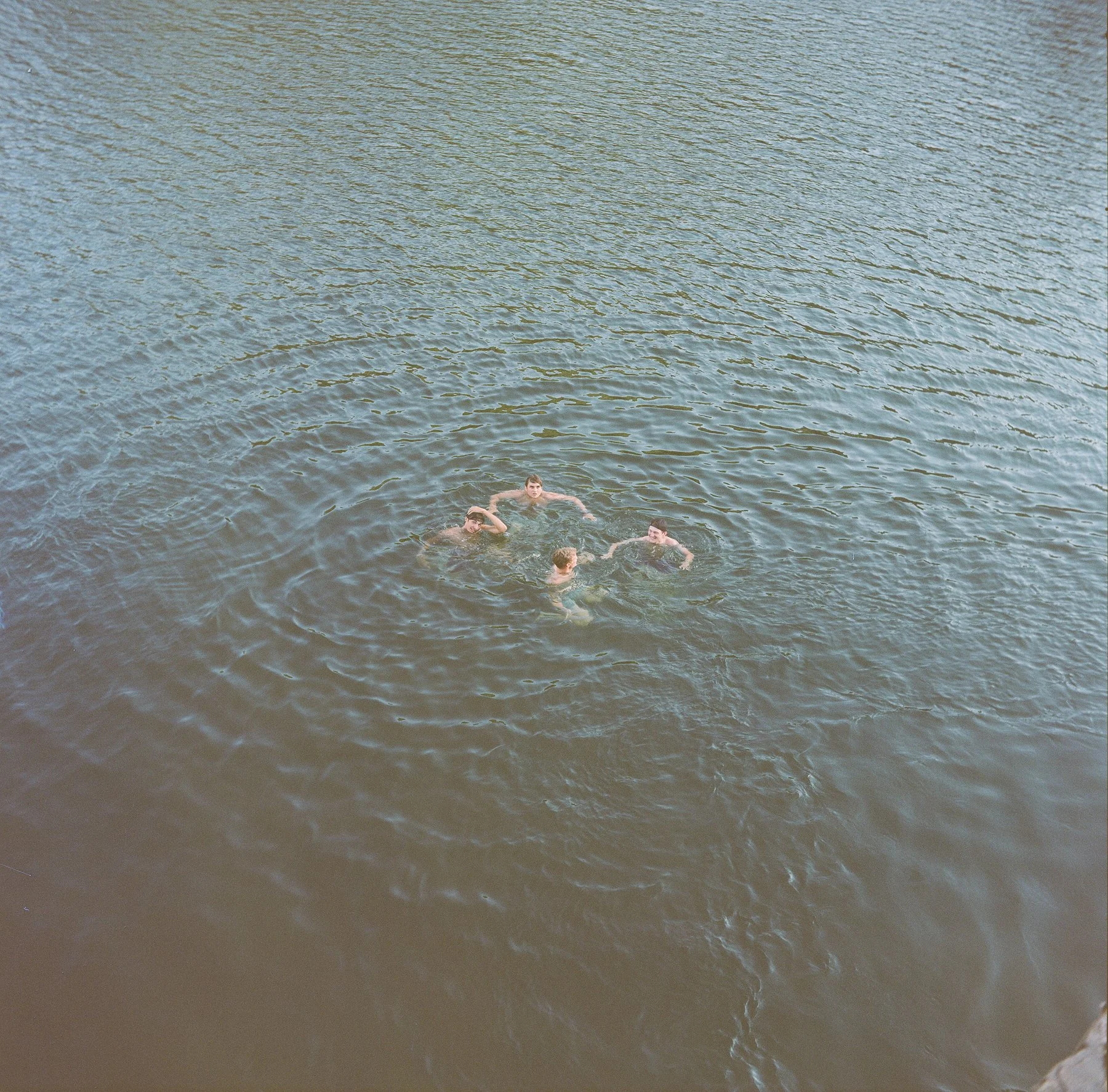 Four people swimming in a body of water, forming a circle and holding hands.