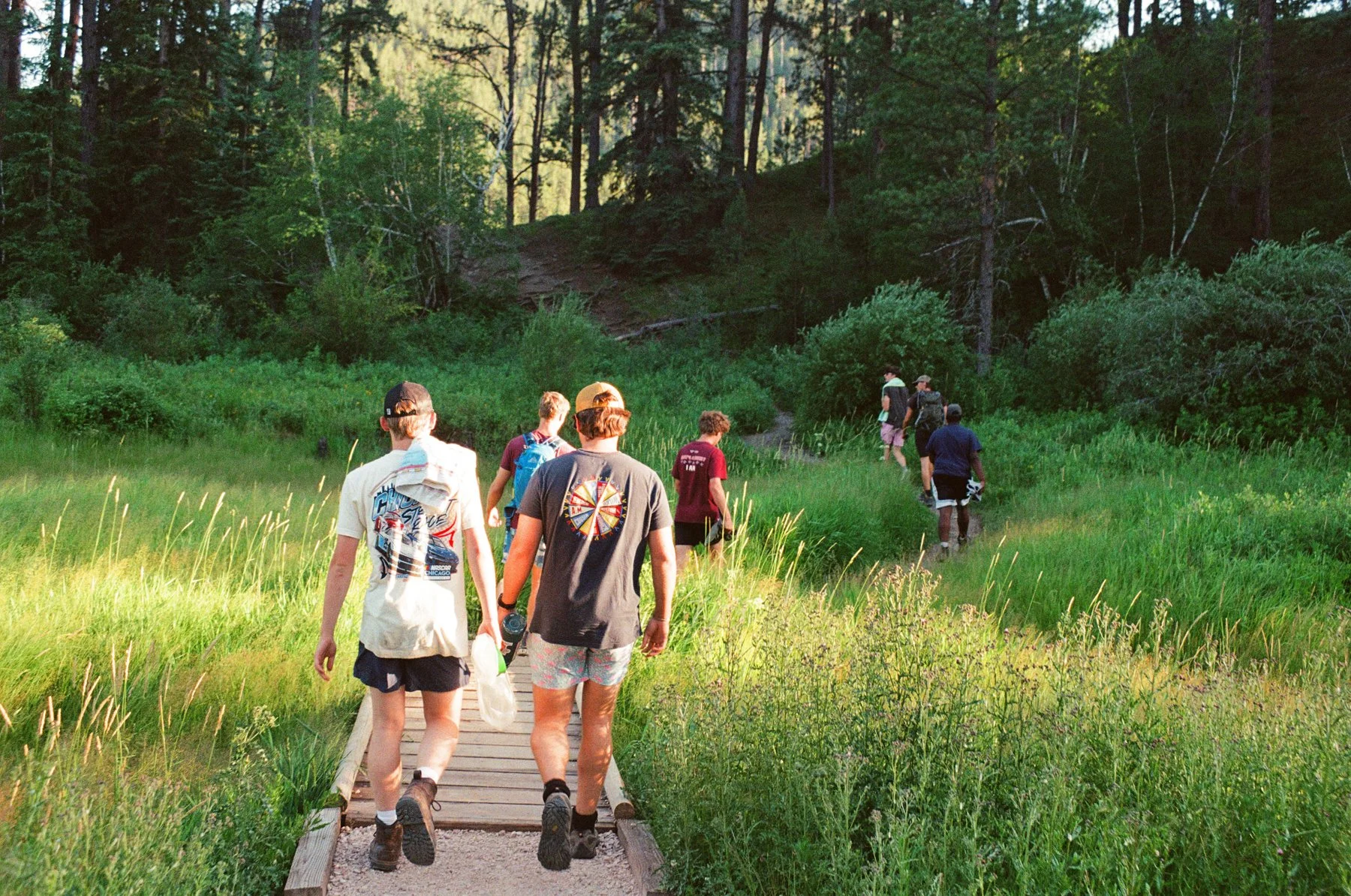A group of people hiking on a trail through a lush green forest during daytime.