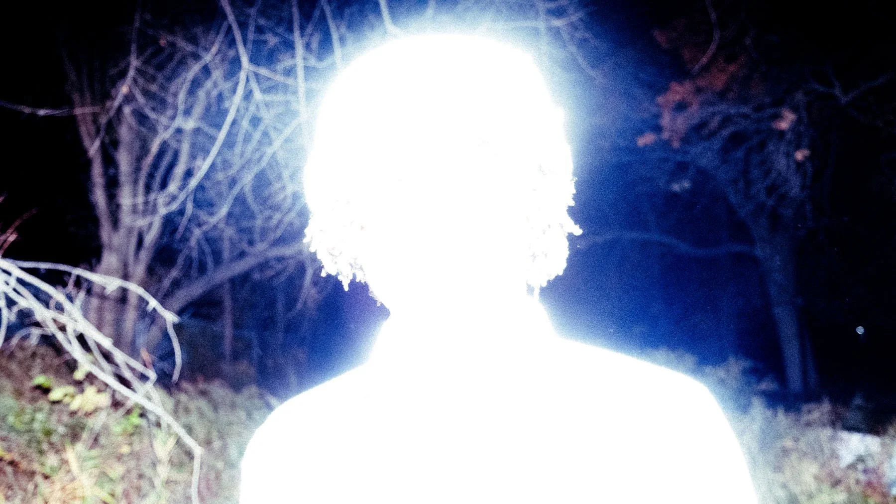 Person with a beard illuminated by bright light in the dark outdoors, with trees in the background.