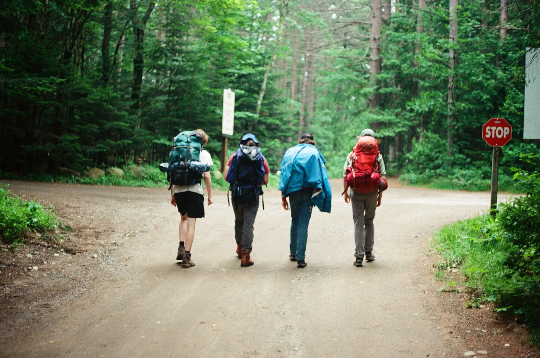 Four hikers walking down a dirt trail in a green forest, with a stop sign on the right side.
