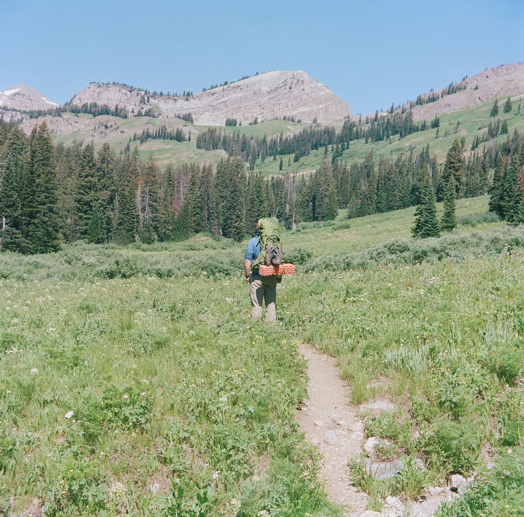A person hiking on a trail in a lush green meadow with trees and mountains in the background.