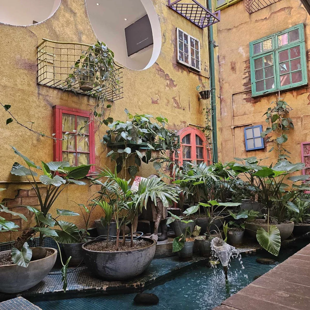 Indoor courtyard with yellow textured walls, colorful window frames, potted plants, small fountain with water spouting, and hanging plants.