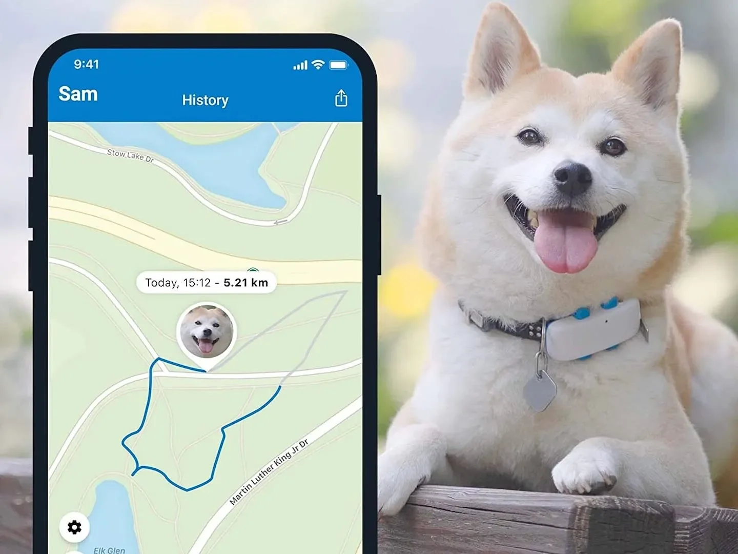 dog-gps-tracker.jpg.webp
