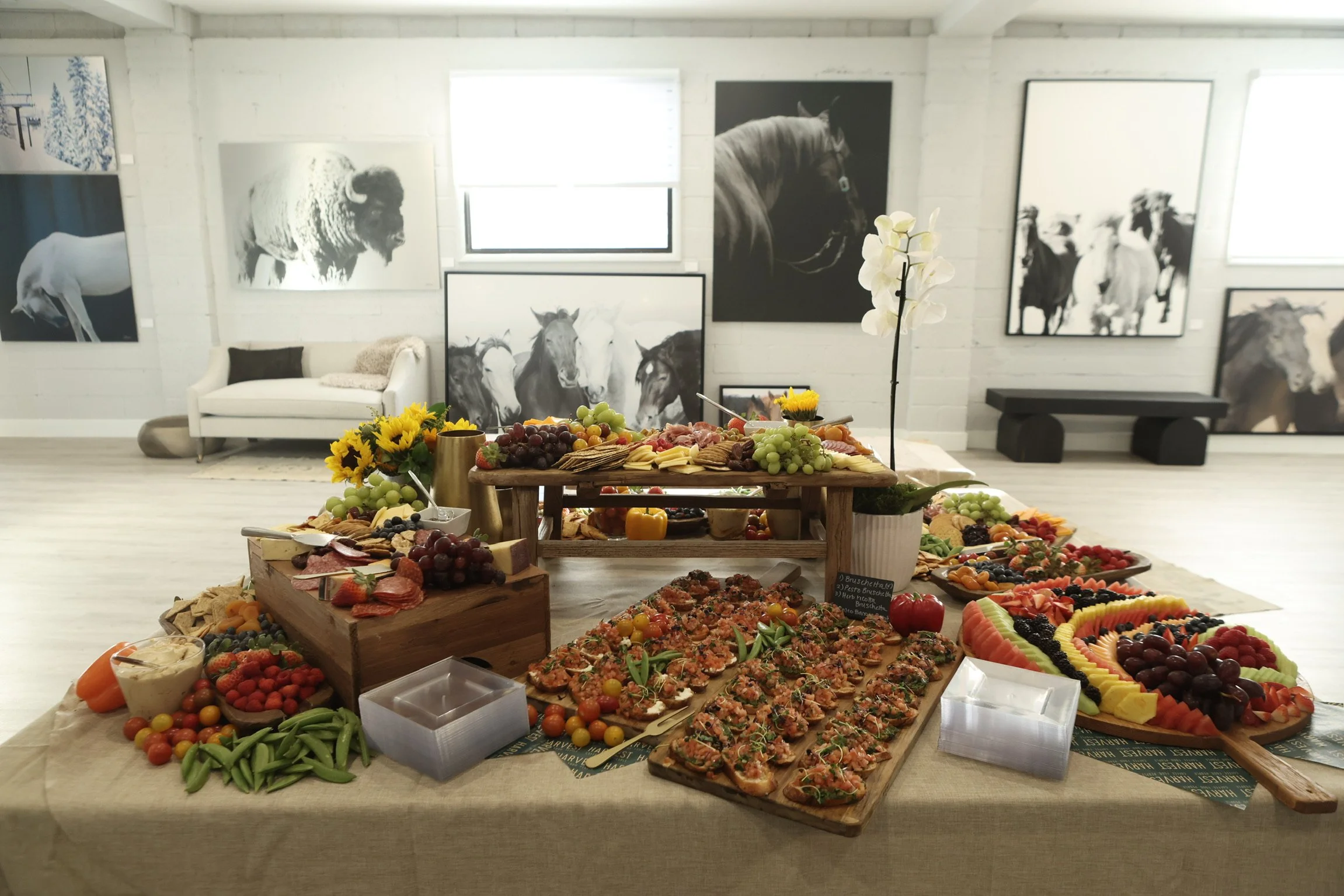 SHRC_5340.JPG