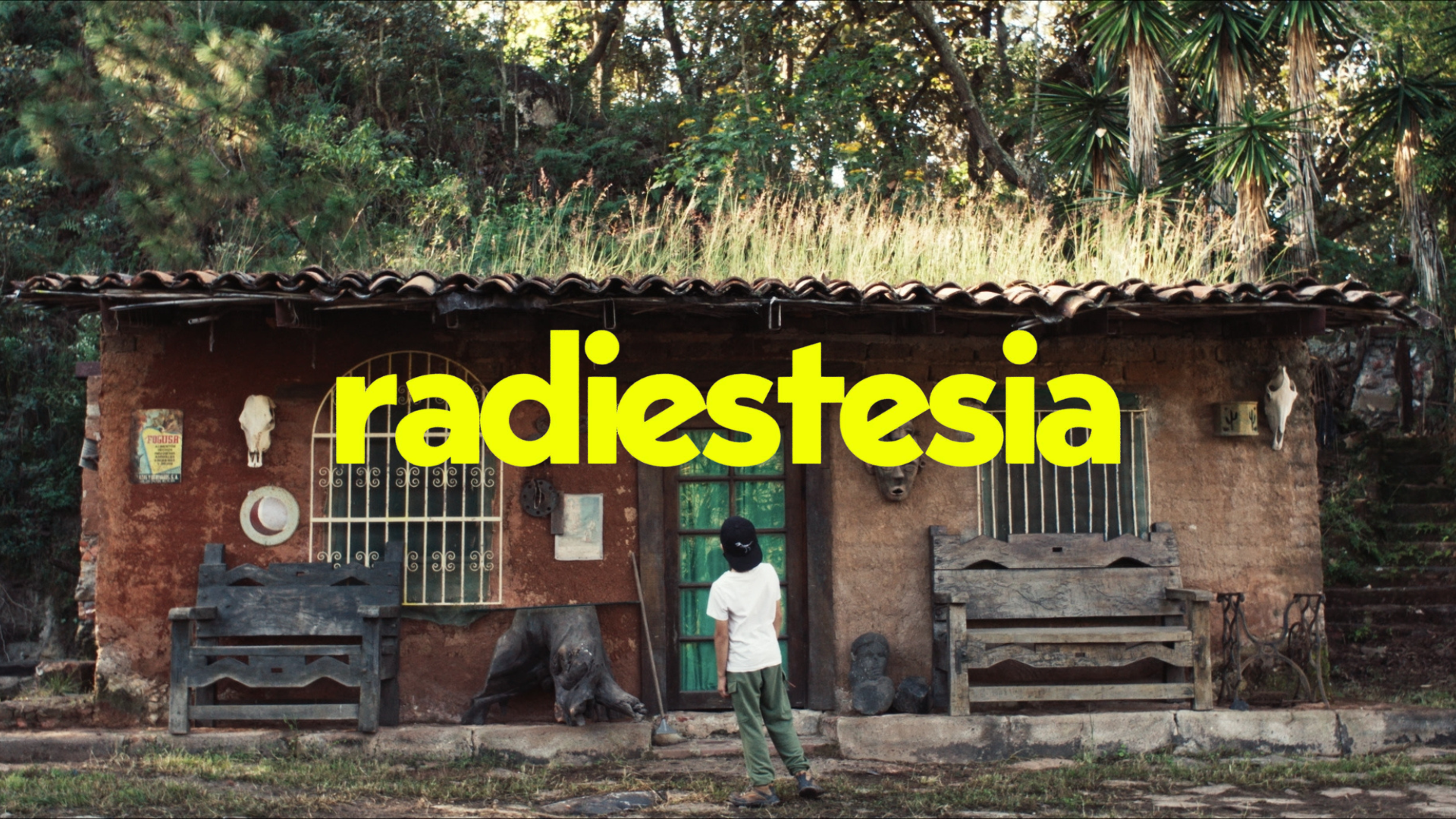 Radiestesia