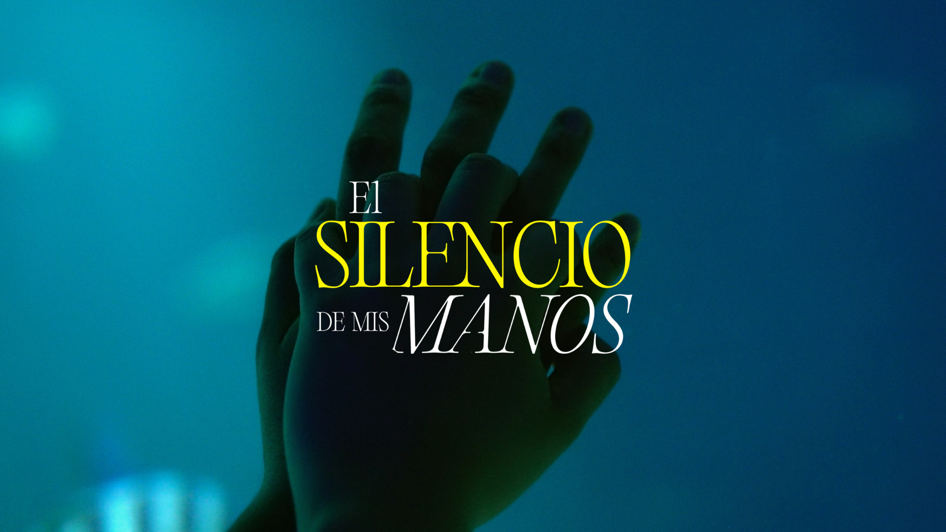 El Silencio de mis Manos