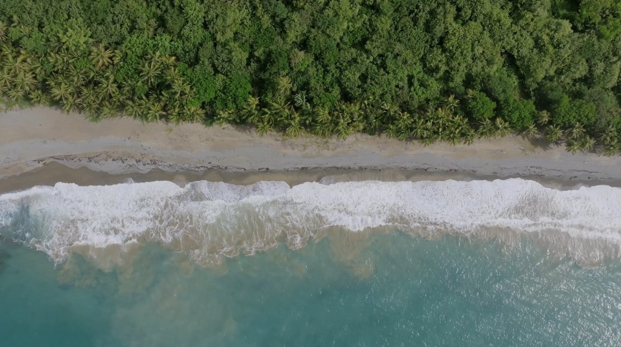 tropical coastline drone screenshot.png