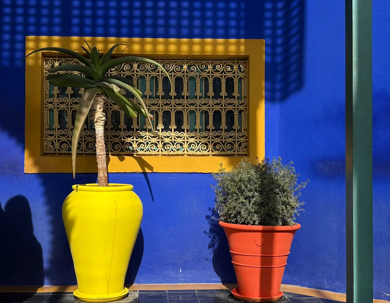 Jardin Majorelle cobalt blue walls and colorful pottery Marrakech Morocco