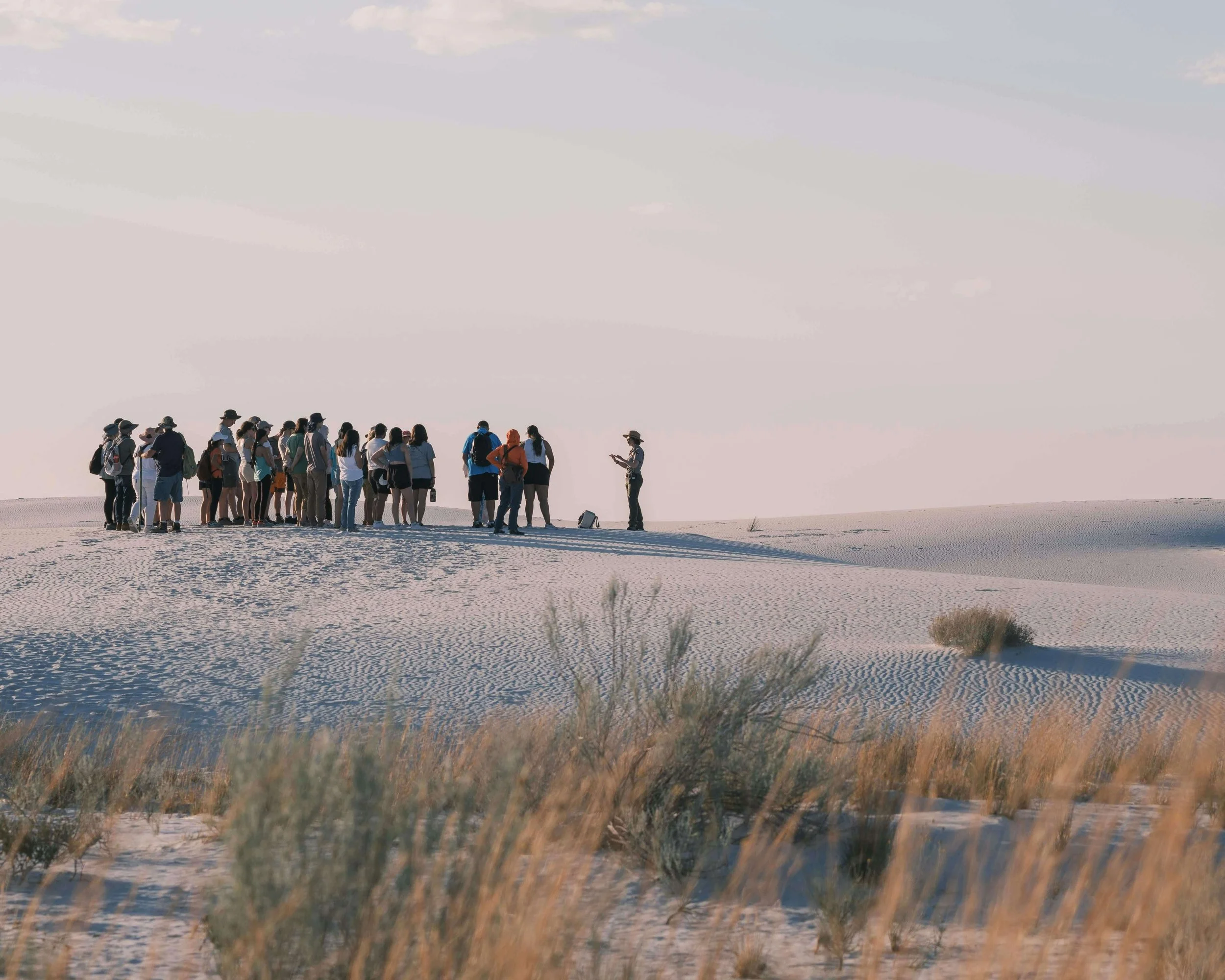 Image of a guide leading a group of travelers on a desert area