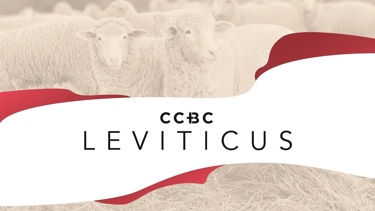 Poster with three sheep in the background and the text 'CBC Leviticus' in the foreground.