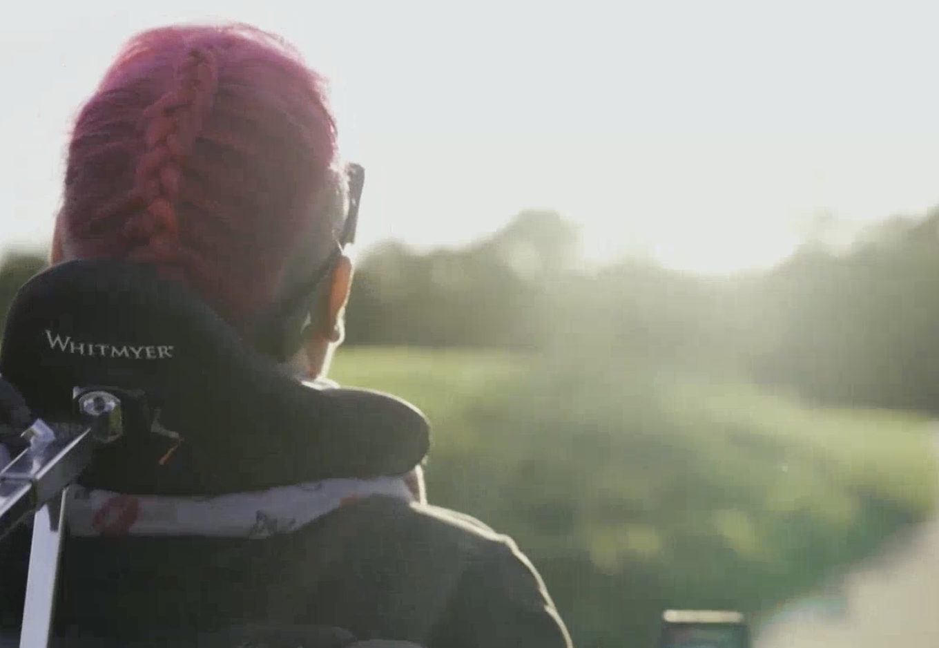 Person with pink hair and glasses, seen from behind, looking out over a field during sunset or sunrise, wearing a jacket with a Whitmyer logo.