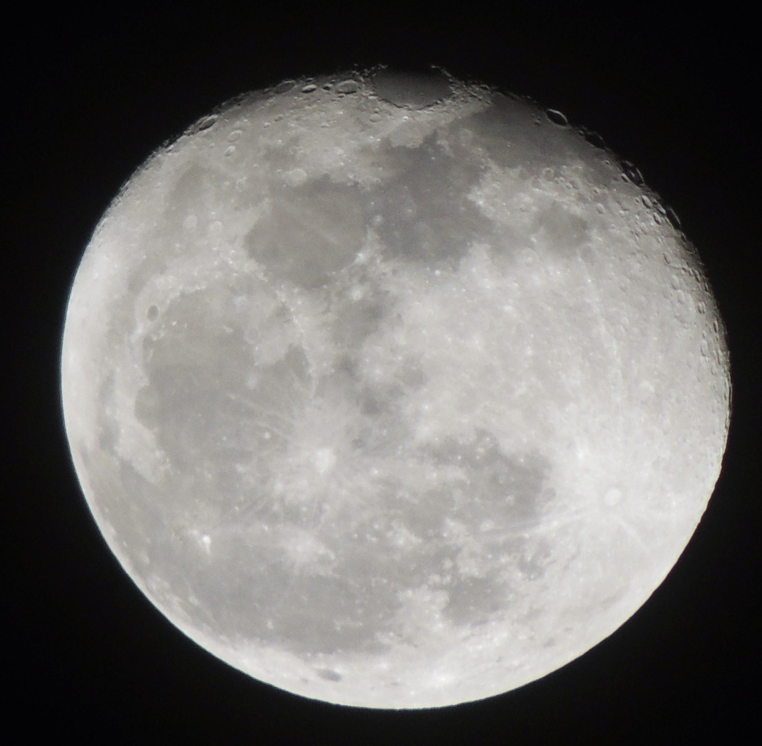 The Cold Moon