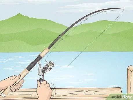 Rod Rental