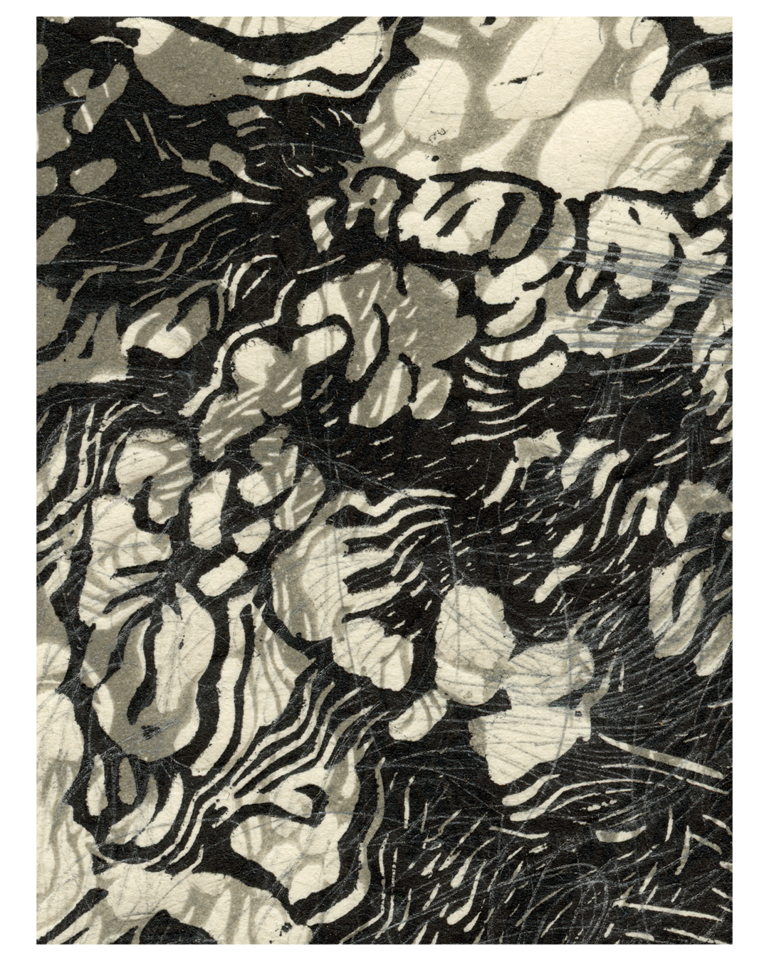 MEMORIA LÍQUIDA_19_ZOOM5.png