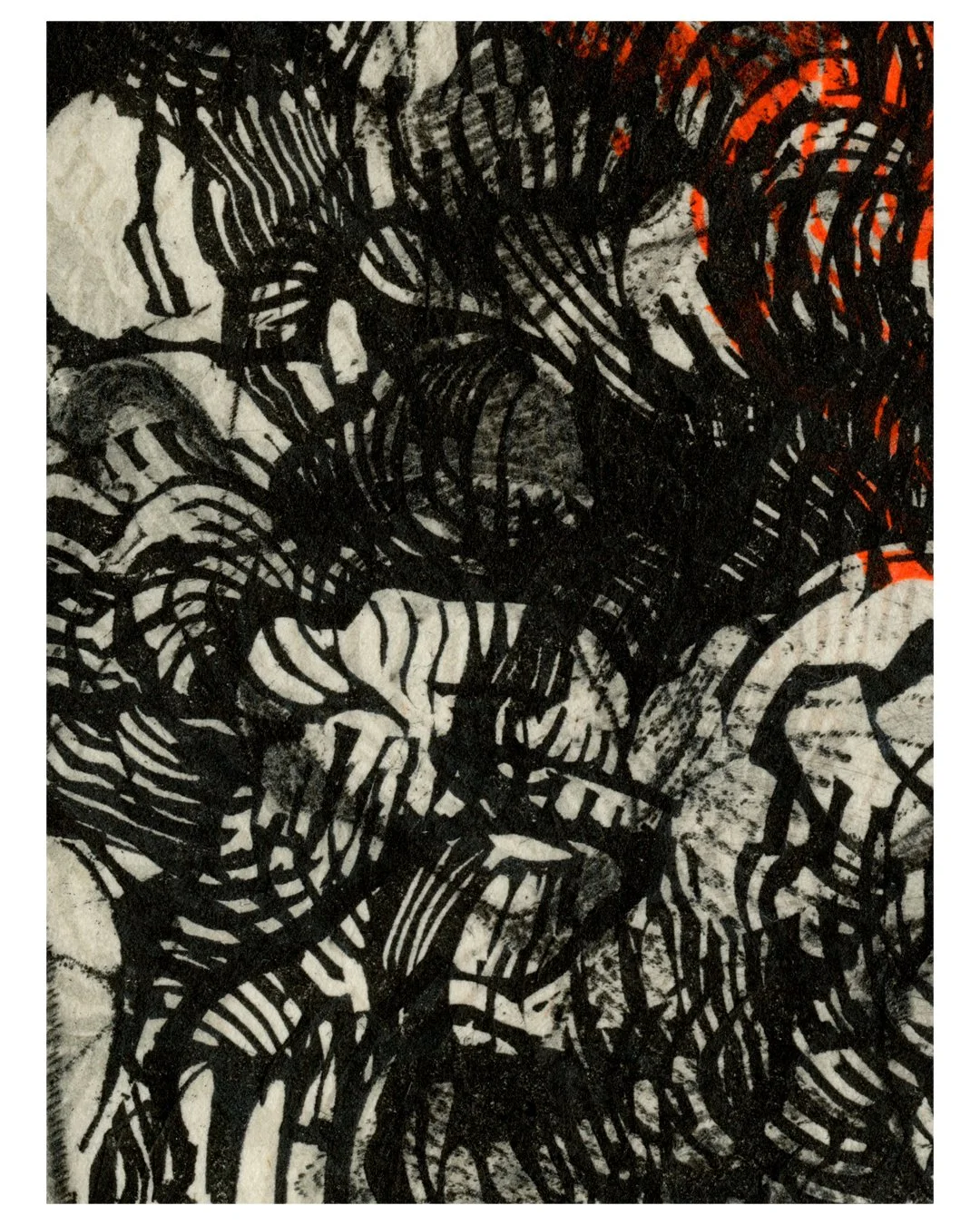 16_zoom_4.jpg
