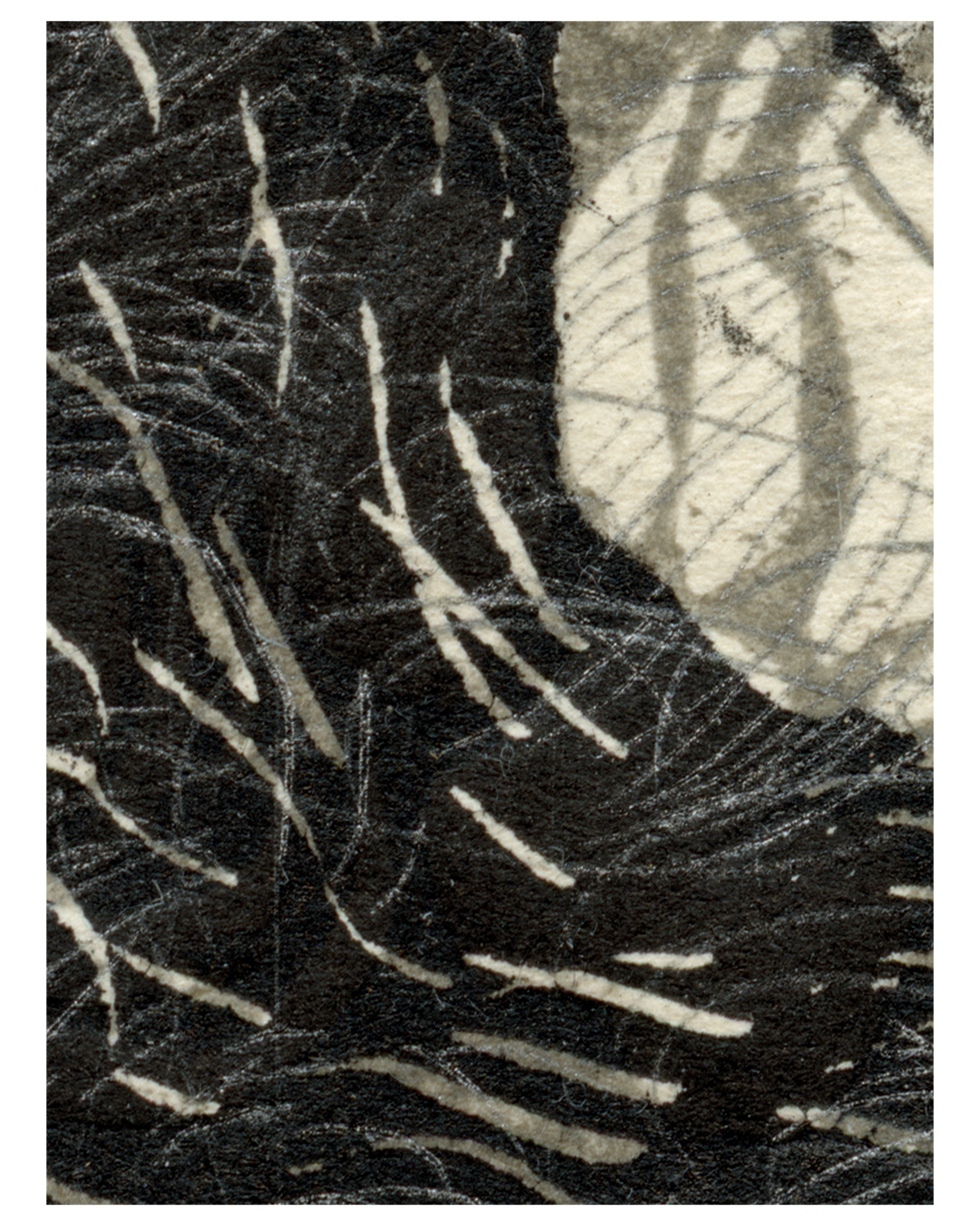 MEMORIA LÍQUIDA_19_ZOOM1.png