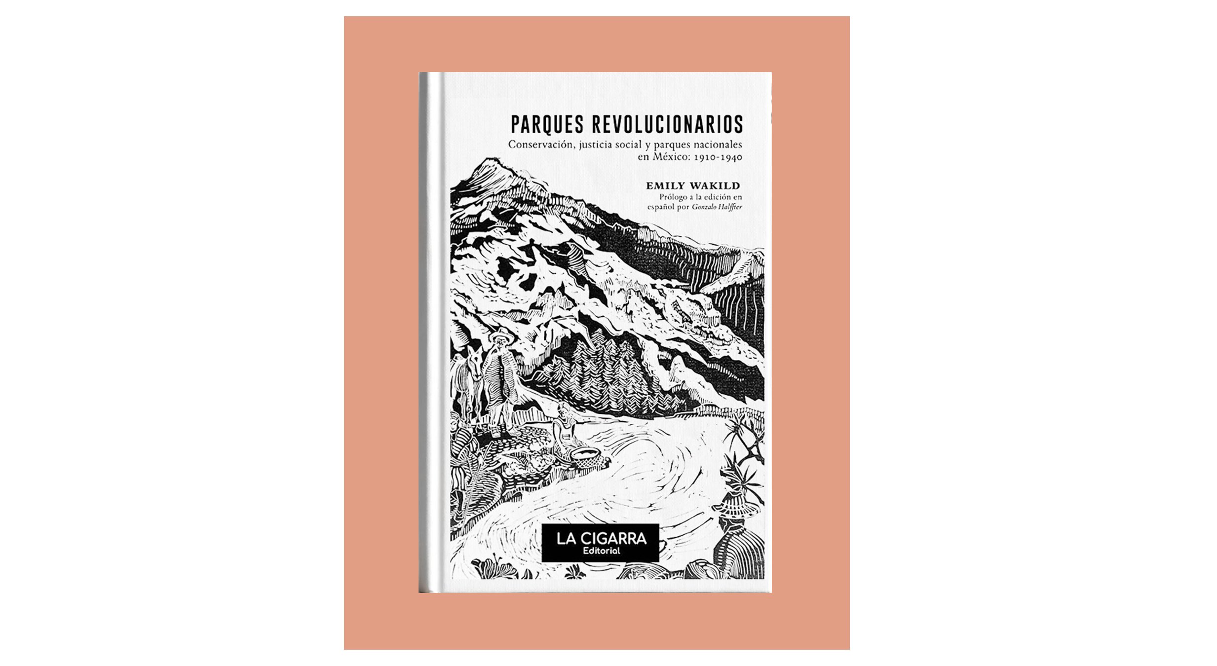 Parques revolucionarios