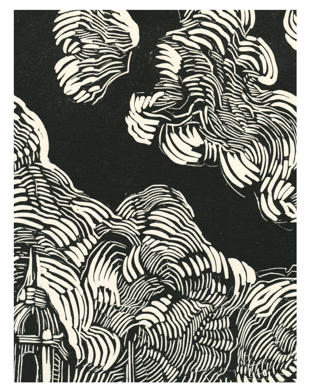 agua_zoom_5.png