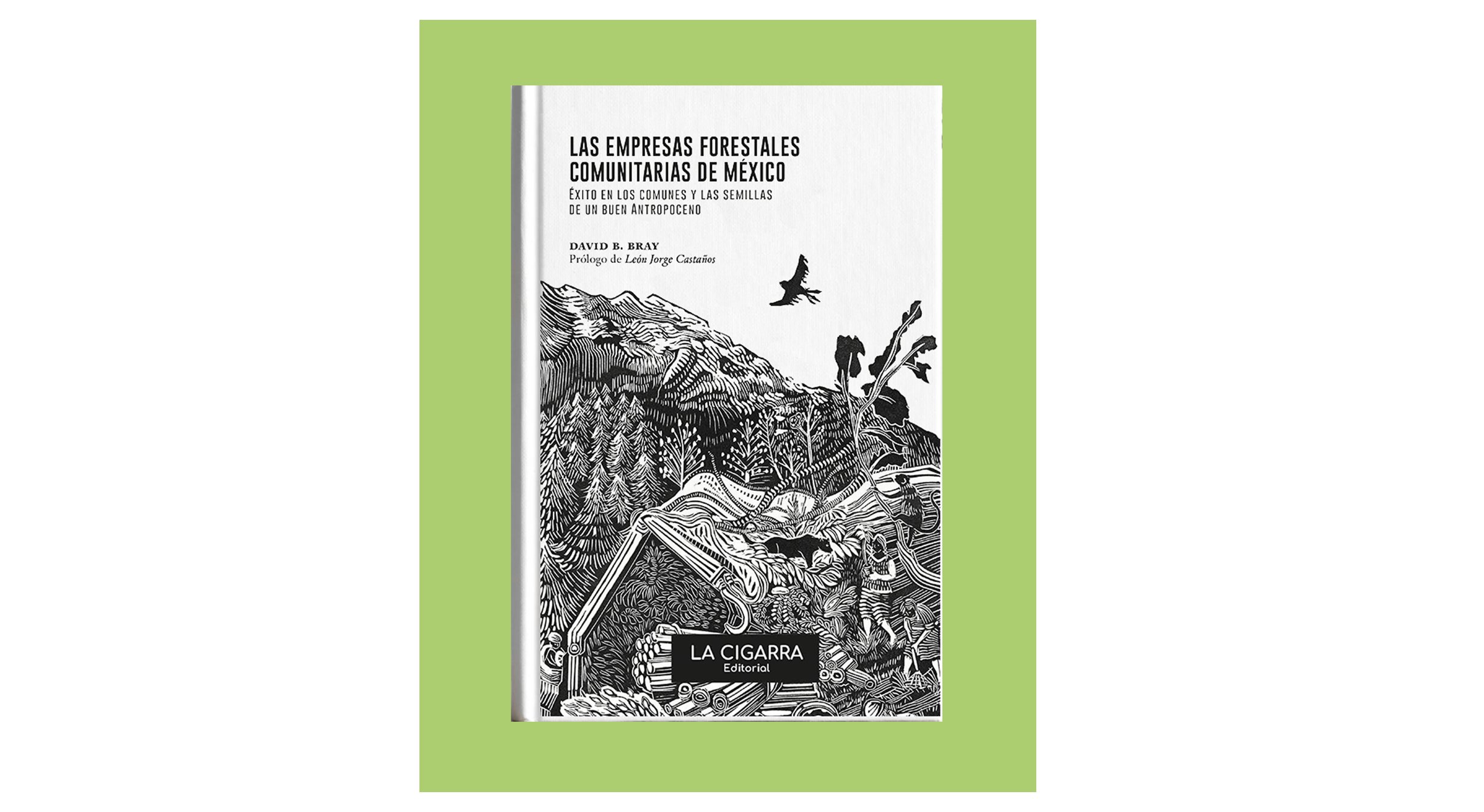 Las empresas forestales comunitarias en México