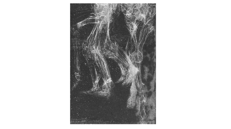 Spectral a Film Jurnal