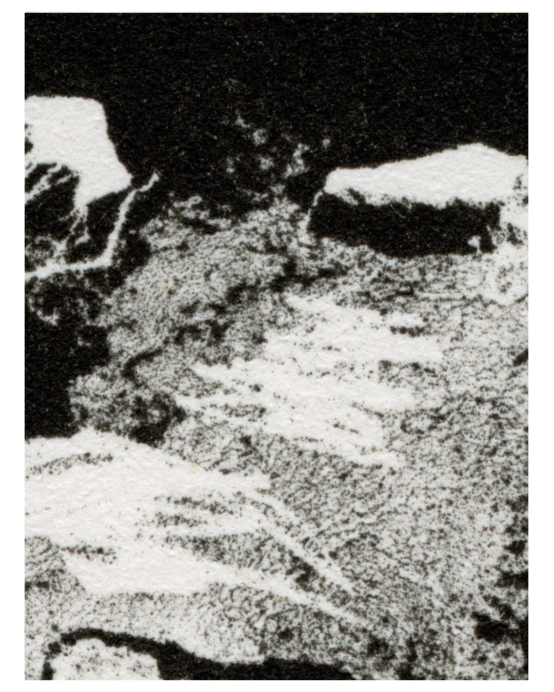 Trasiego_zoom_3.jpg