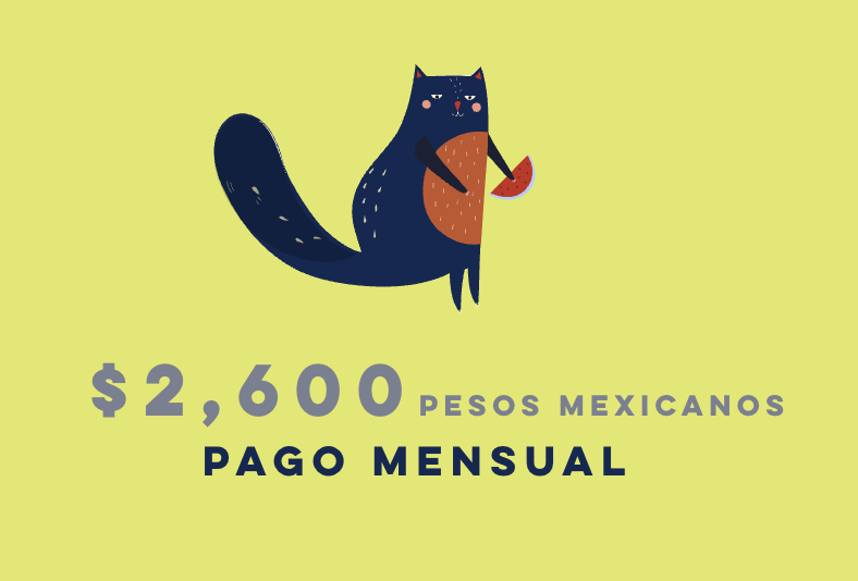 Pago mensual del taller / $2,600 pesos mexicanos